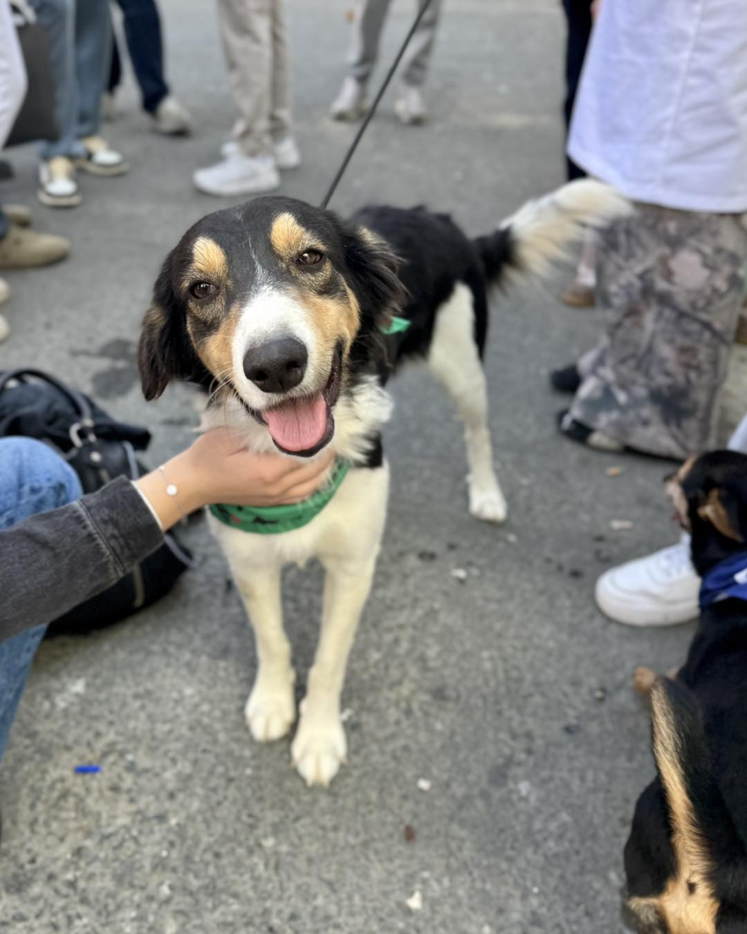 597716288_870330982176747_8189279830146603757_n