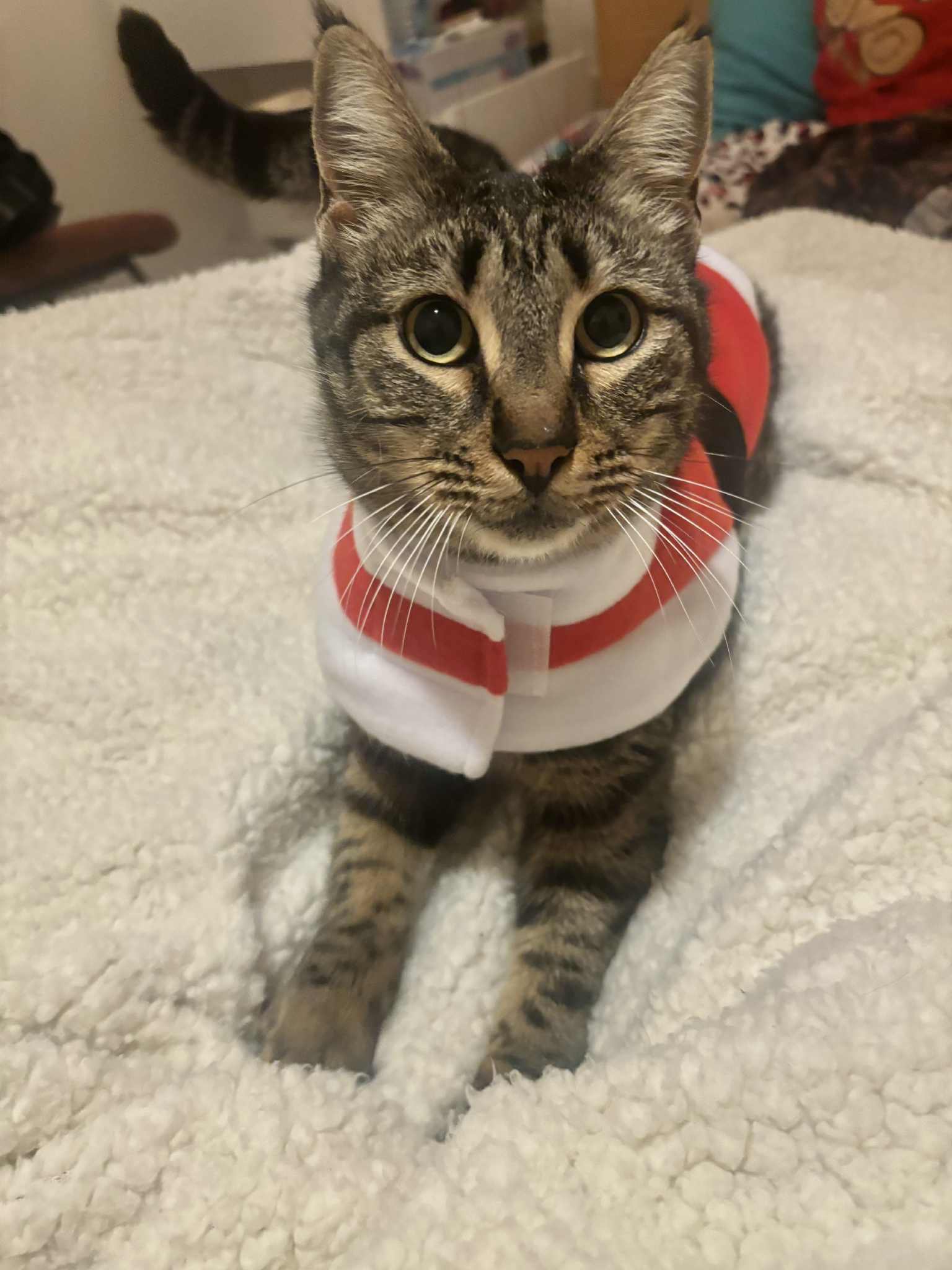 600194157_940111368339332_3231999984439384125_n