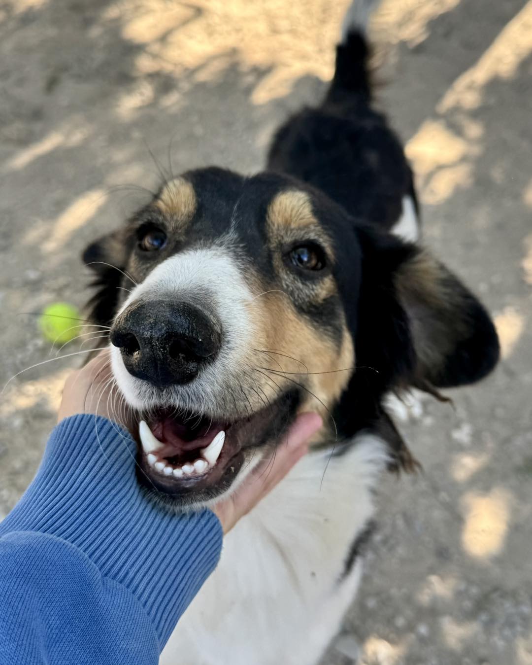 600286953_870330988843413_1249787104146565101_n