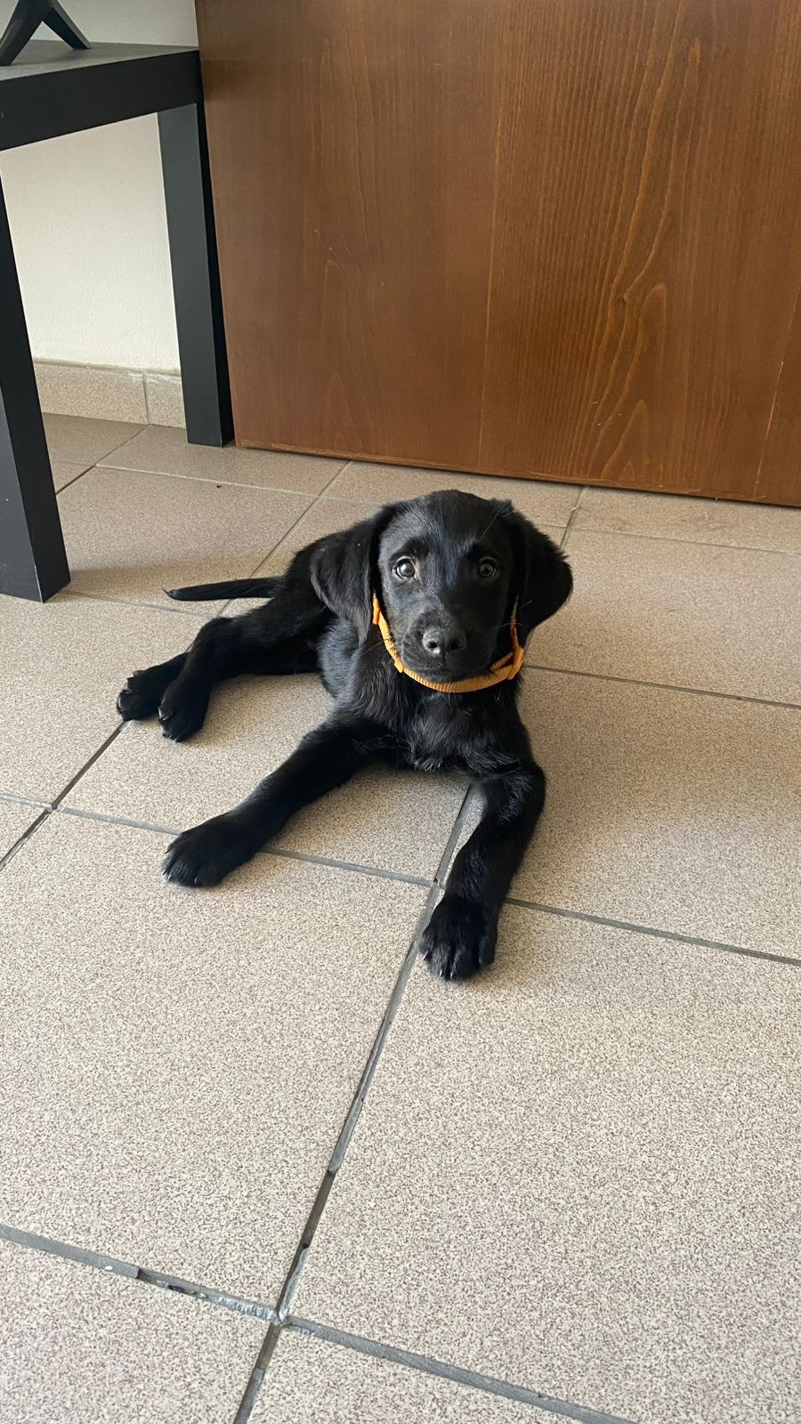 80753500-8673-44c8-bddf-c0f6610b836a