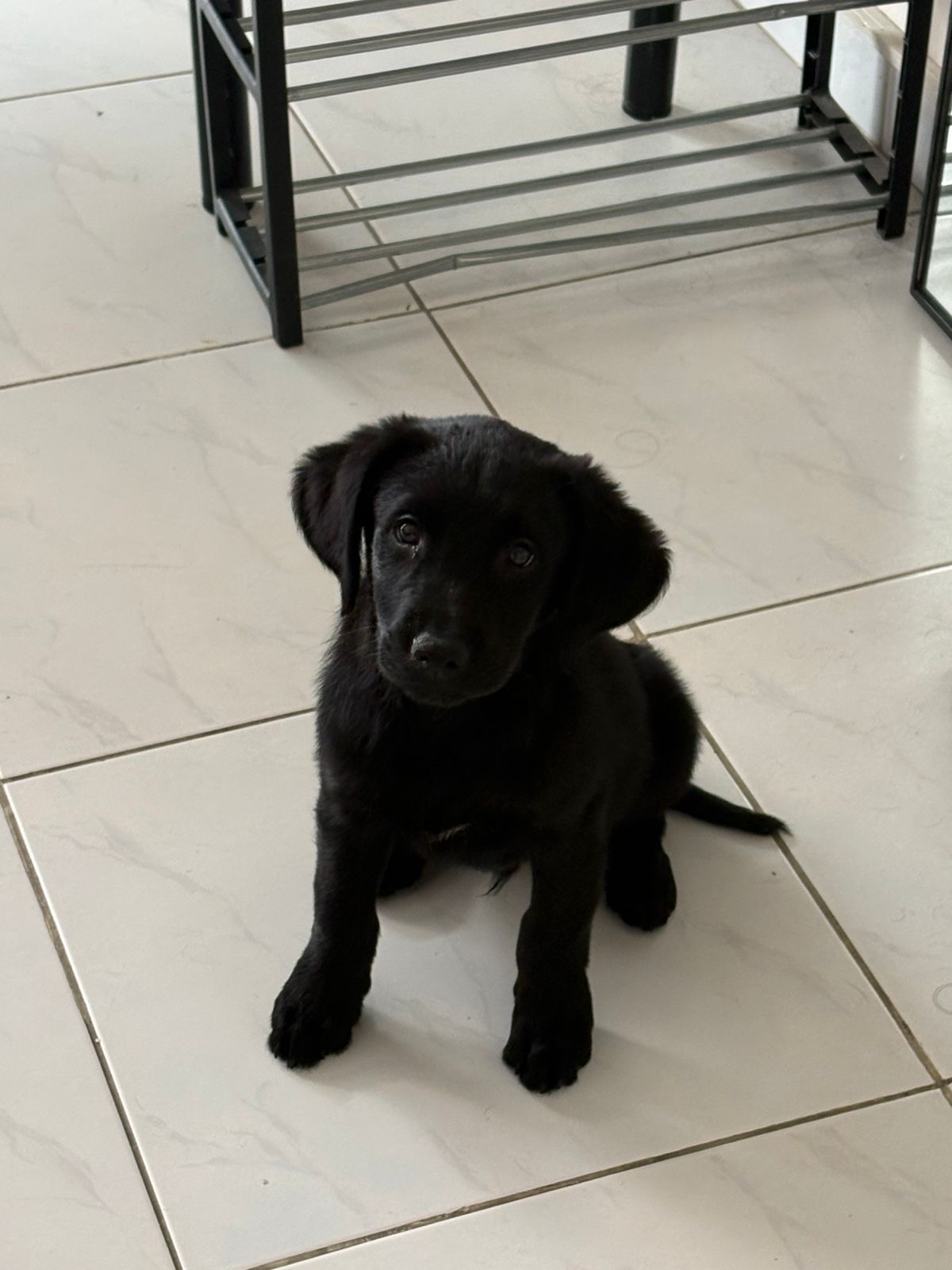 825a80b1-09da-4954-918f-bc58f0d6660a