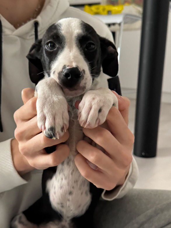 D0C37376-9DA2-47C9-8752-BAEFE984EFAB