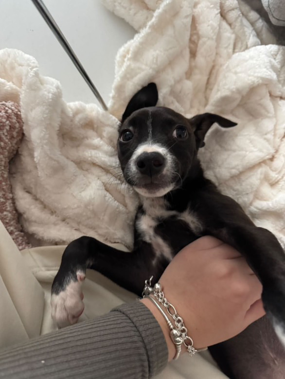 F014D071-EF26-4E76-AB01-79BD1F91913B