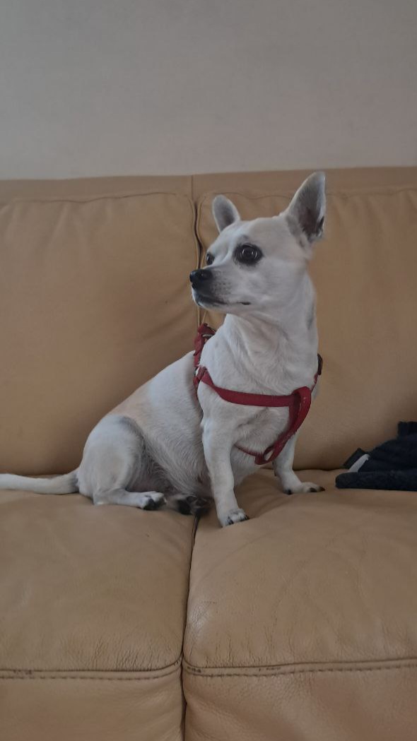 IMG_20251215_140903_358