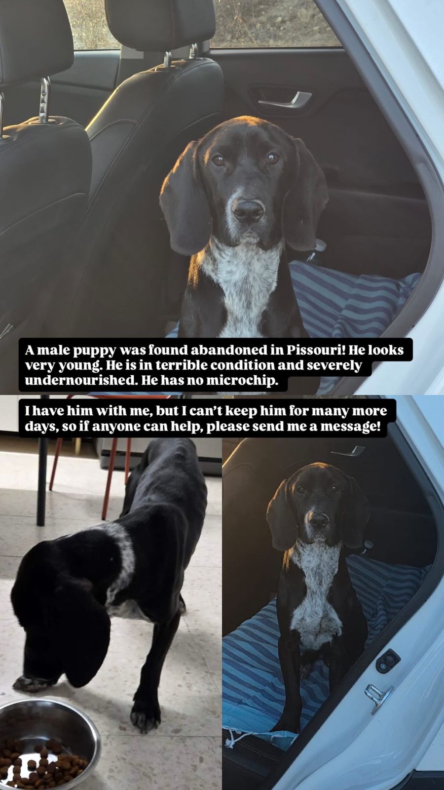 WhatsApp-Image-2025-12-17-at-14.21.04