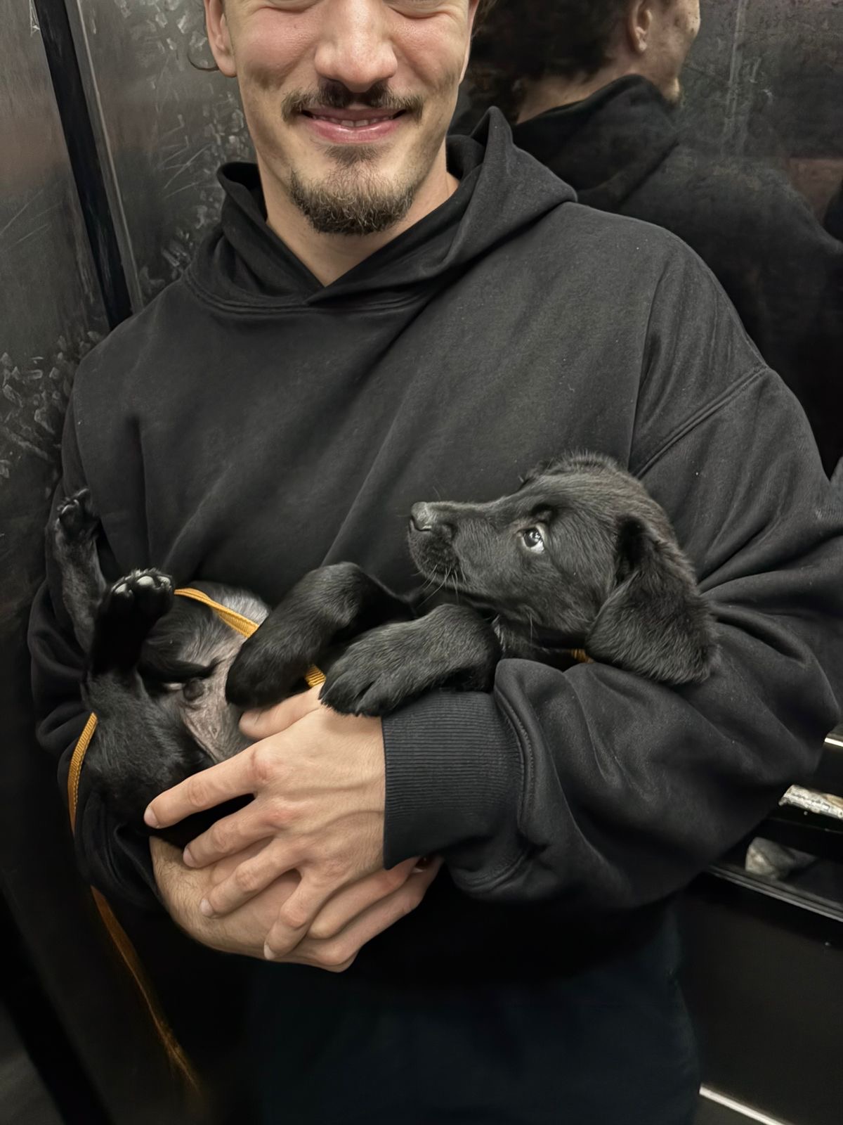 aeb39172-3506-4b3b-8bc0-90040f452d5c