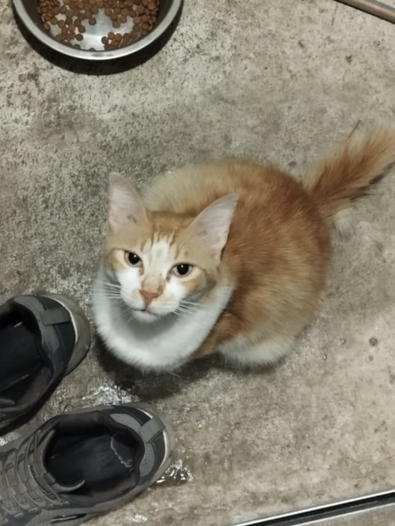 att.4PkkCKYTPbfbo3cDa-uDd1lwe3Ia0tStOtGAJ5OaOgA