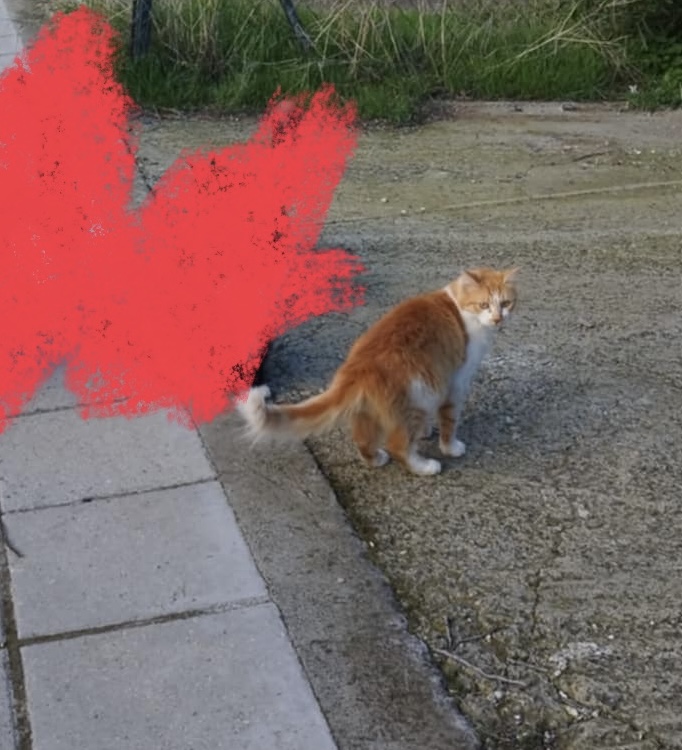 att.EU1axc5FuZ9jfJLrSBrrJ2ko-iqeyEQjlVCTqrQ7LDA