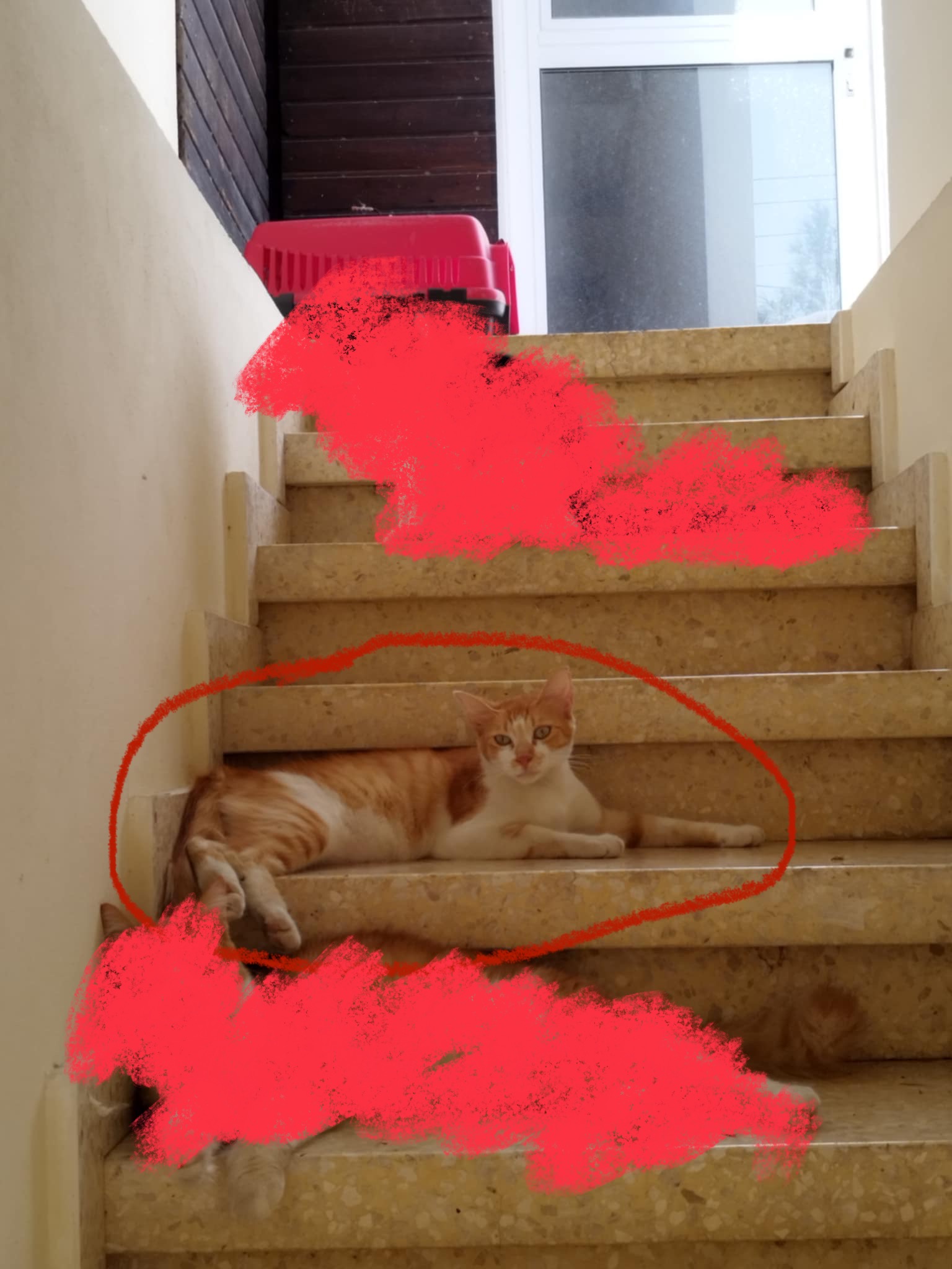 att.KNbczaD7qFlXgkMVMNTtF6aBBvlgoMq1EWR7mvs8Bd0