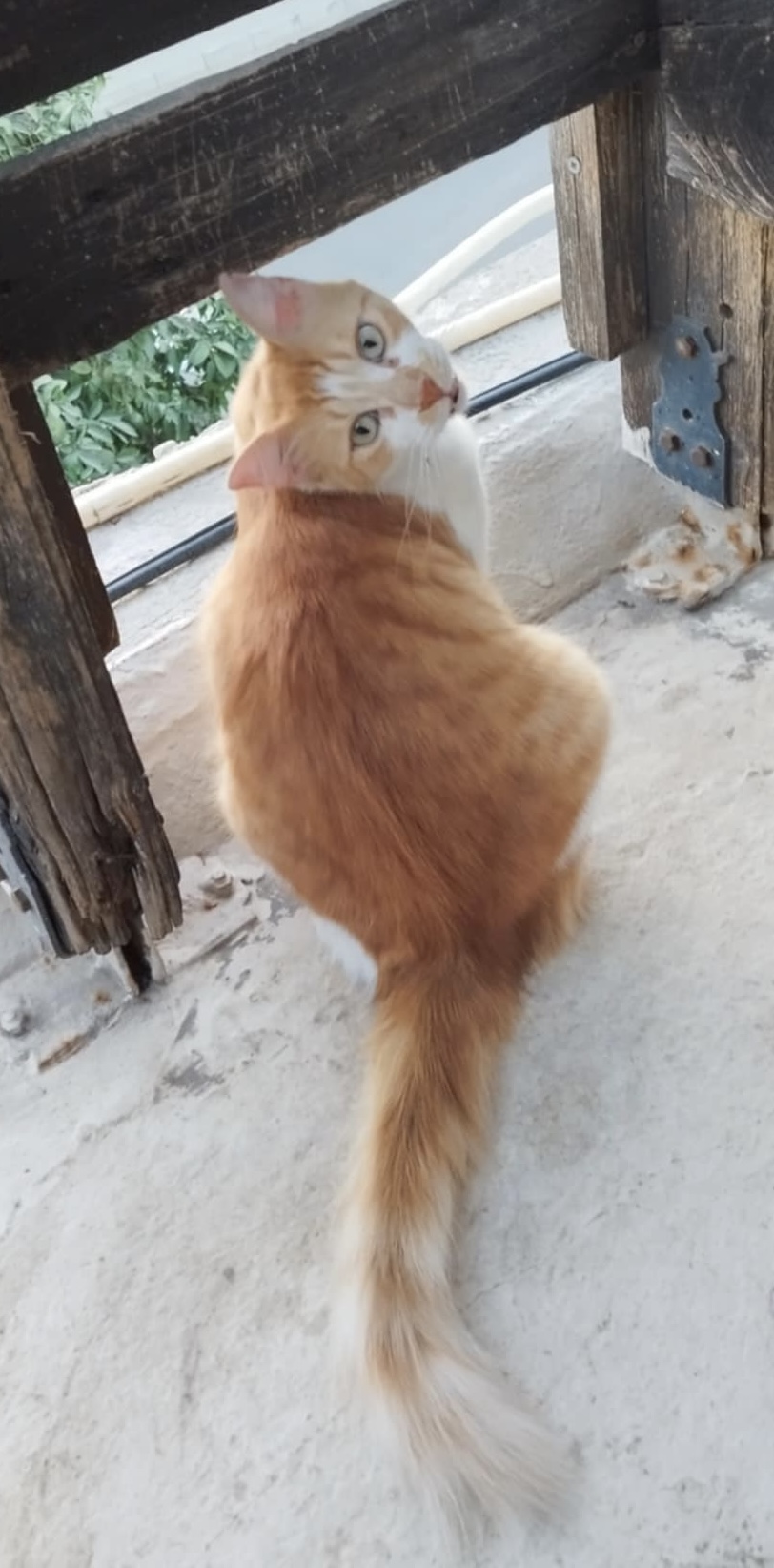 att.Of2T7hQoBkP_CoyR_pvyBc27C1w0MgJwDH8Cf3IkVvM