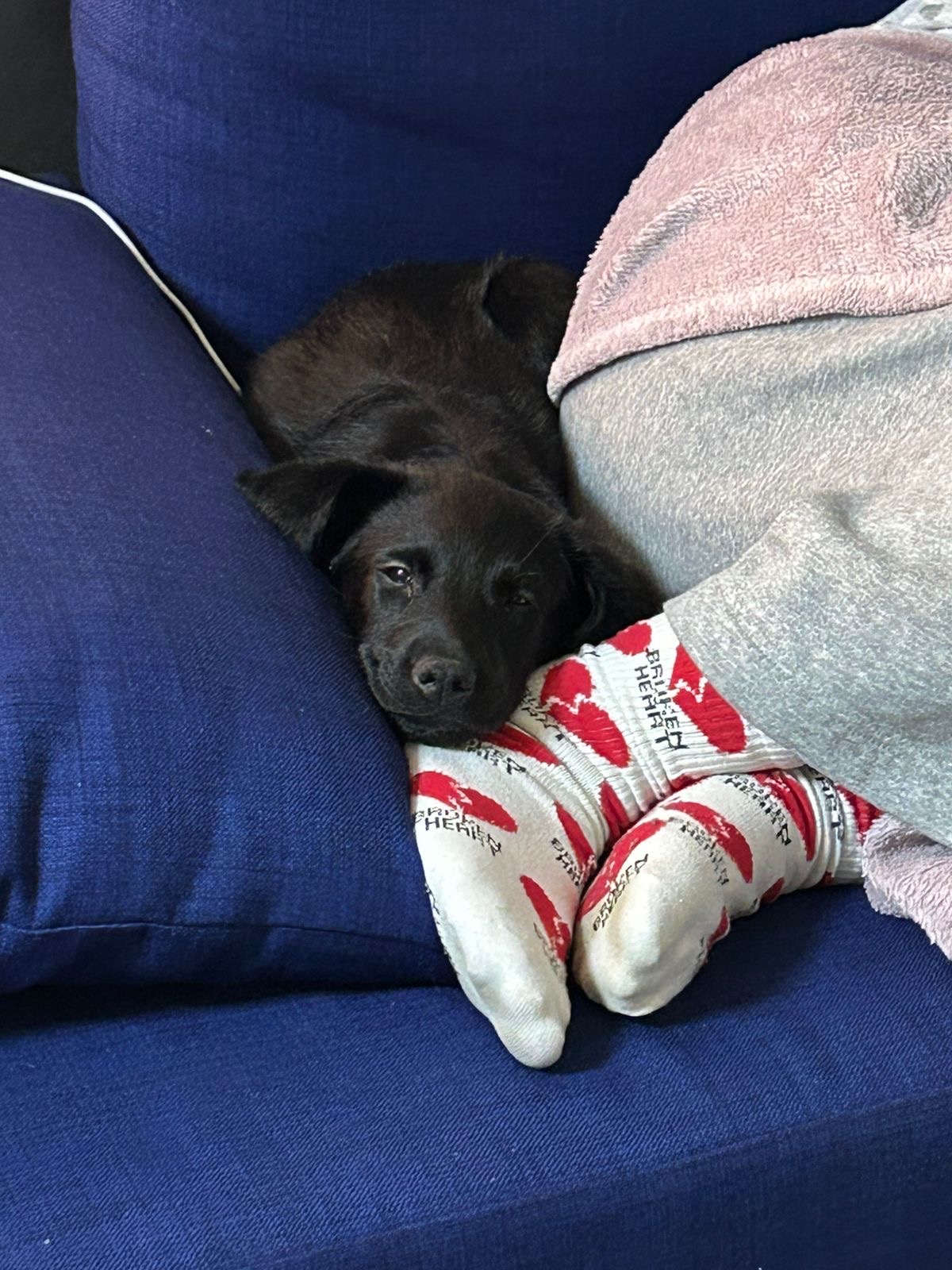 c3998b6f-39cc-4315-9759-fea58b080a7d