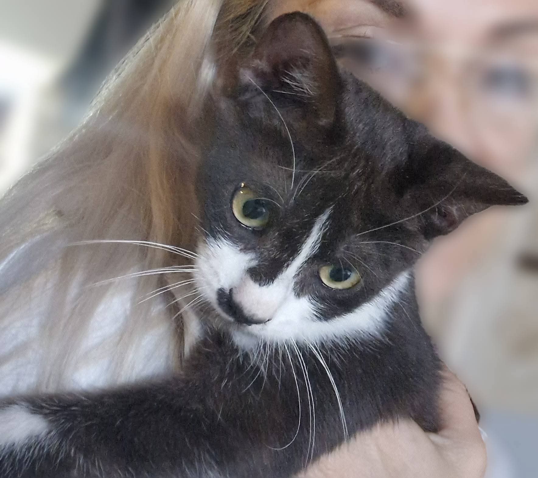 inbound4681782486225657708