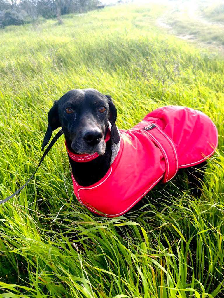 493737121_749119957438475_3944755097206754834_n