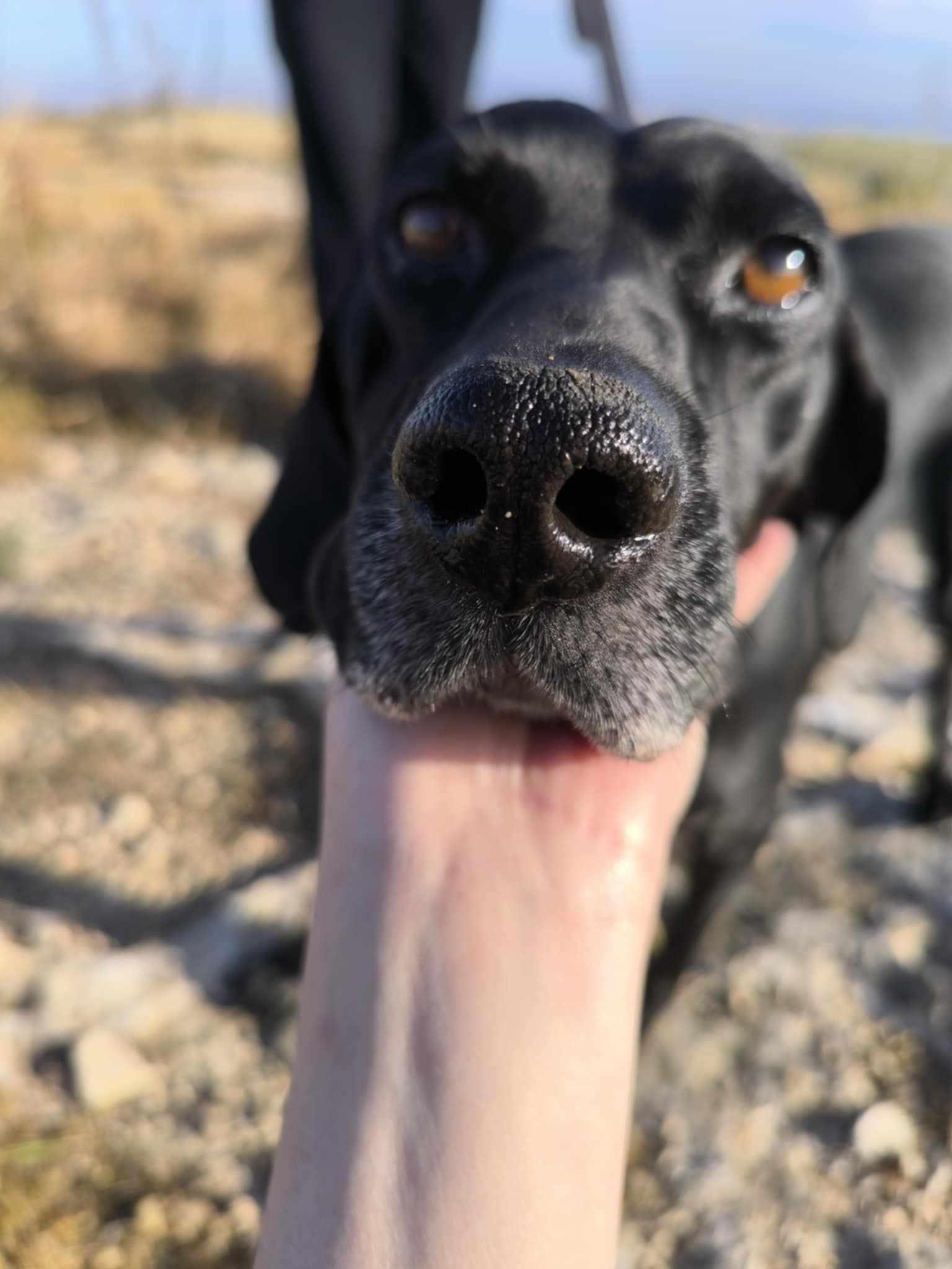 494561492_749120697438401_1864913987040241013_n