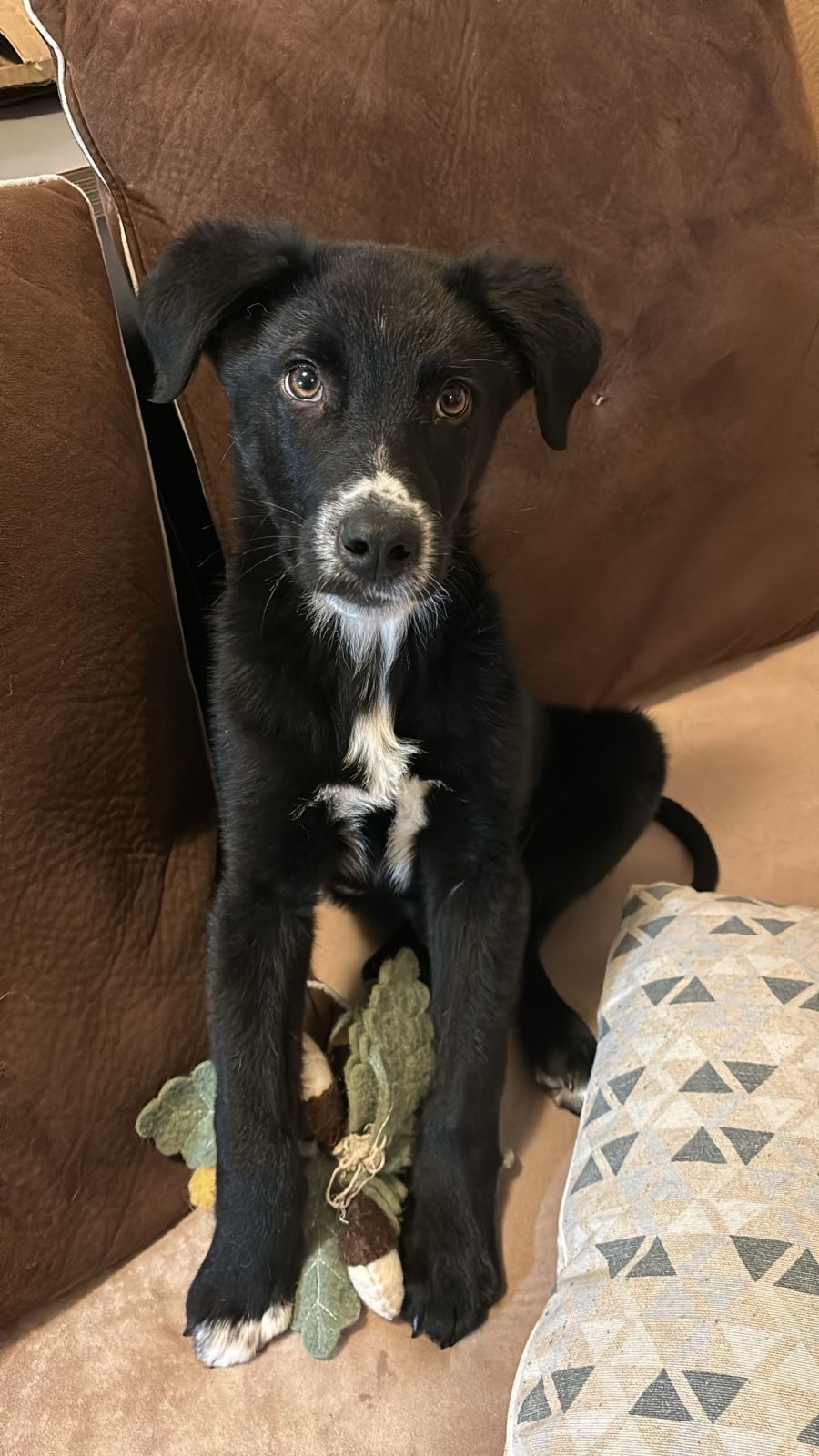 5dfda6a4-1cea-40a1-8f98-494db3c407ba