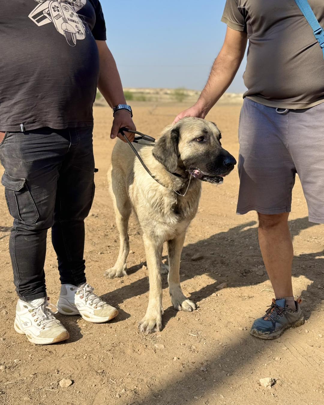 610772665_885679350641910_2177130493030603075_n