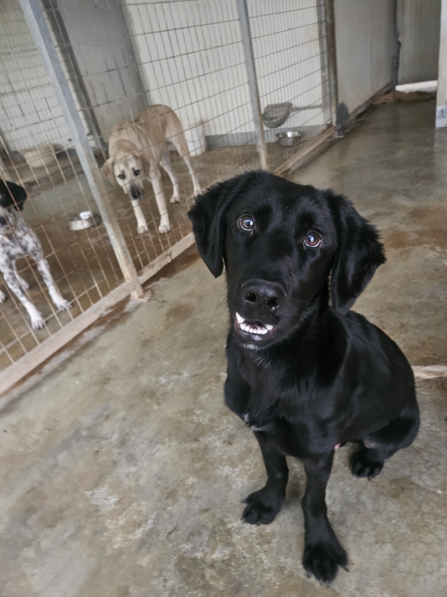 611321781_1304551921713790_8355140383755888933_n