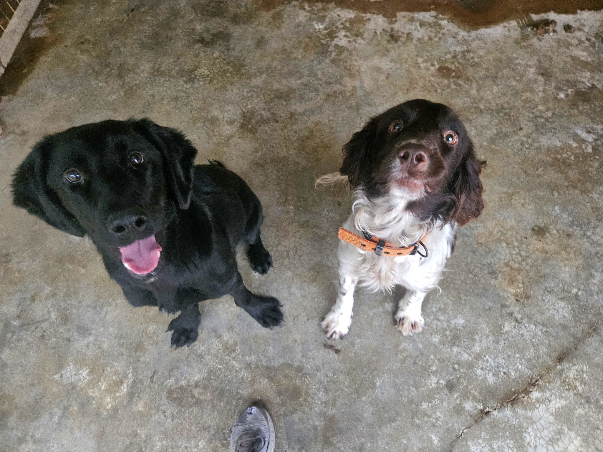 611344986_1304551938380455_2276889160348145730_n