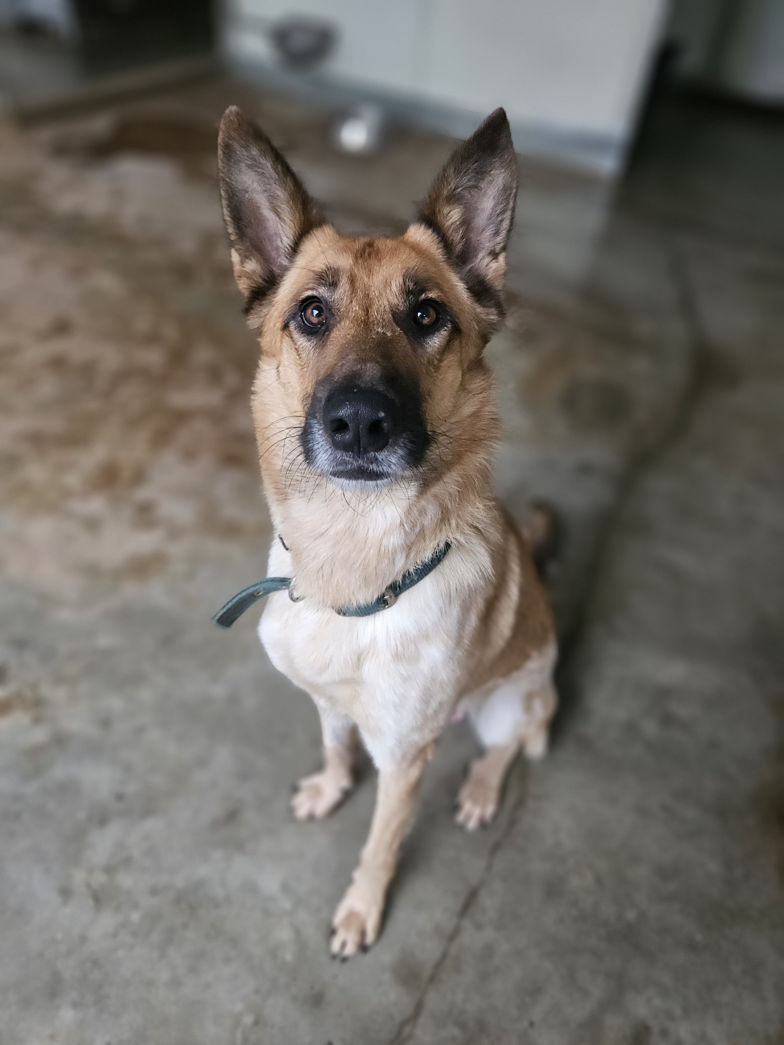 611395980_1304566925045623_9129746727345521340_n