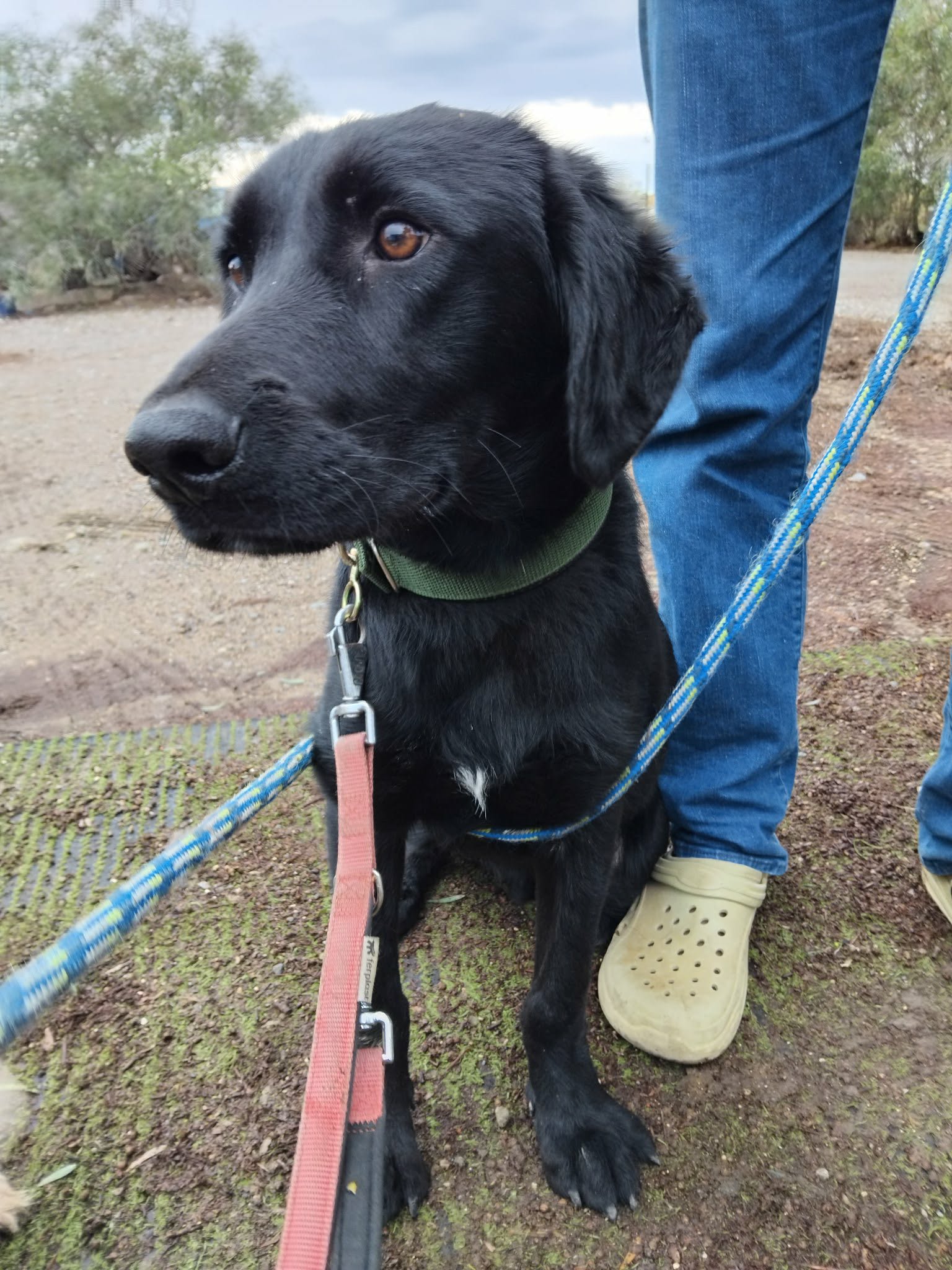 612124806_1304552171713765_2907231103626792724_n