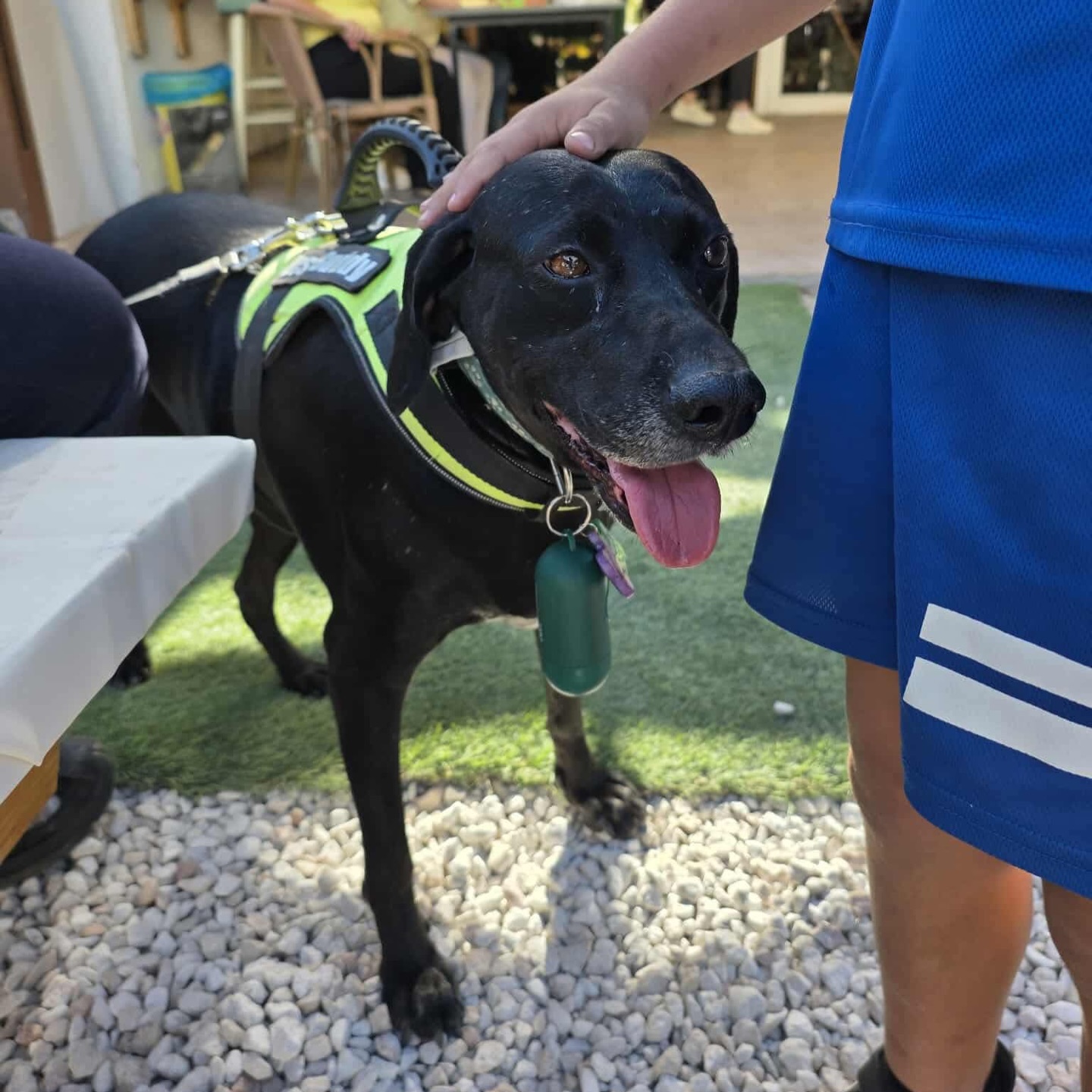 612129287_18315759307301739_6221997498921582143_n