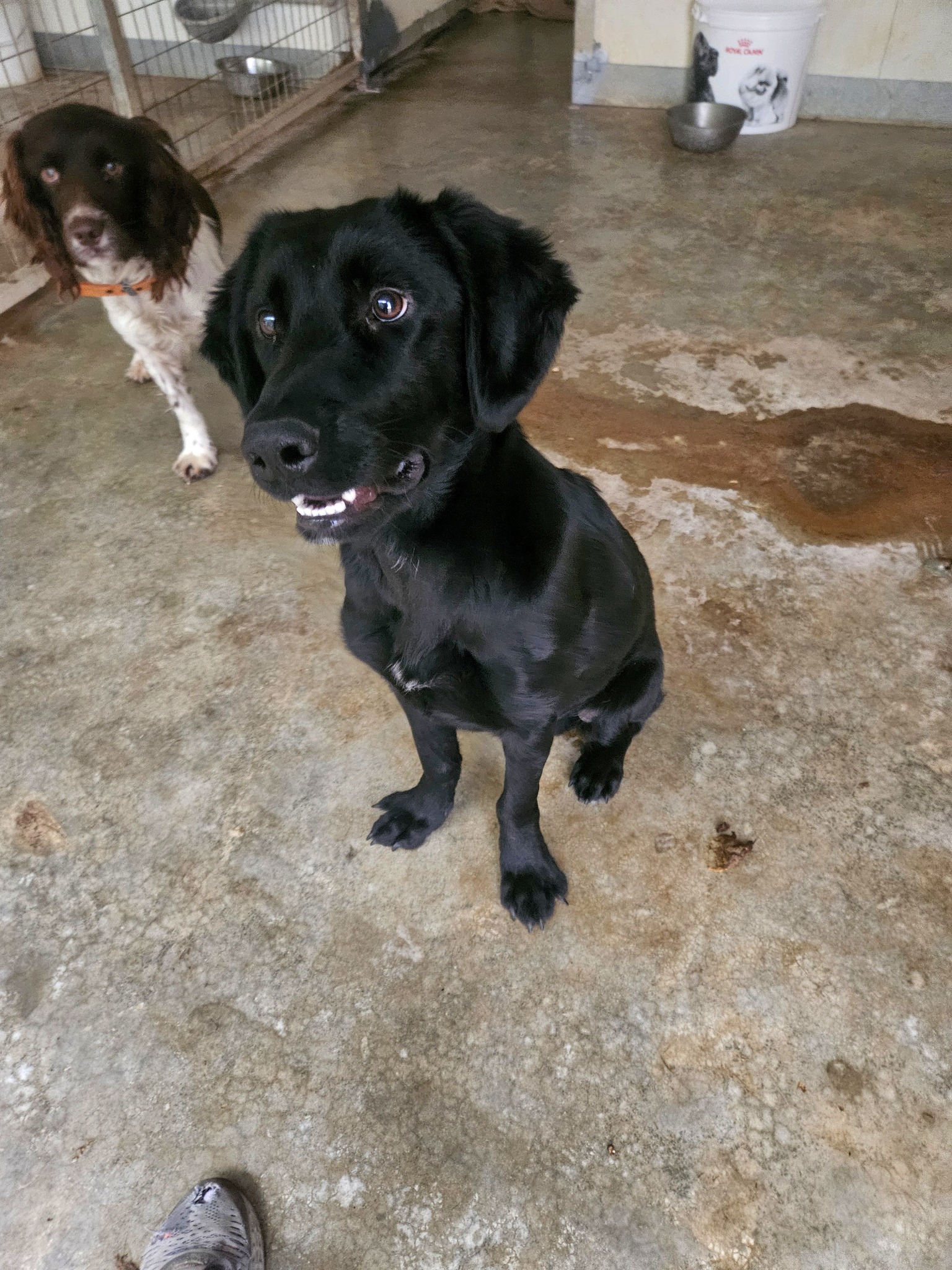 612142097_1304551935047122_3316397039465166168_n