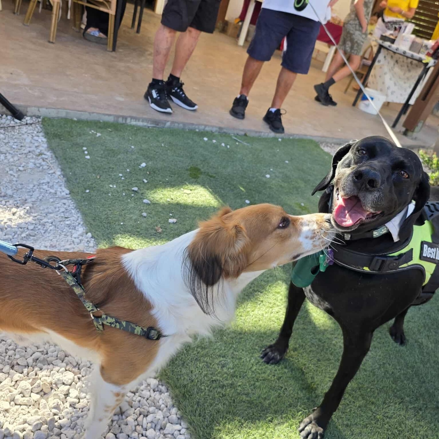 613555506_18315759376301739_6979475806525883763_n