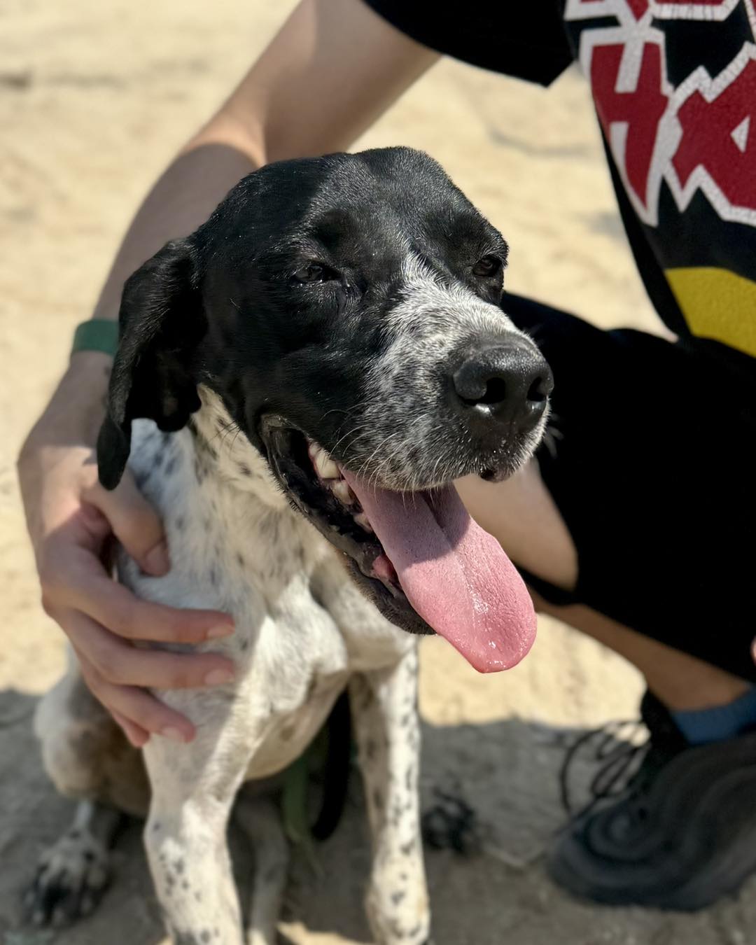 614363683_889312516945260_7617166426671169577_n