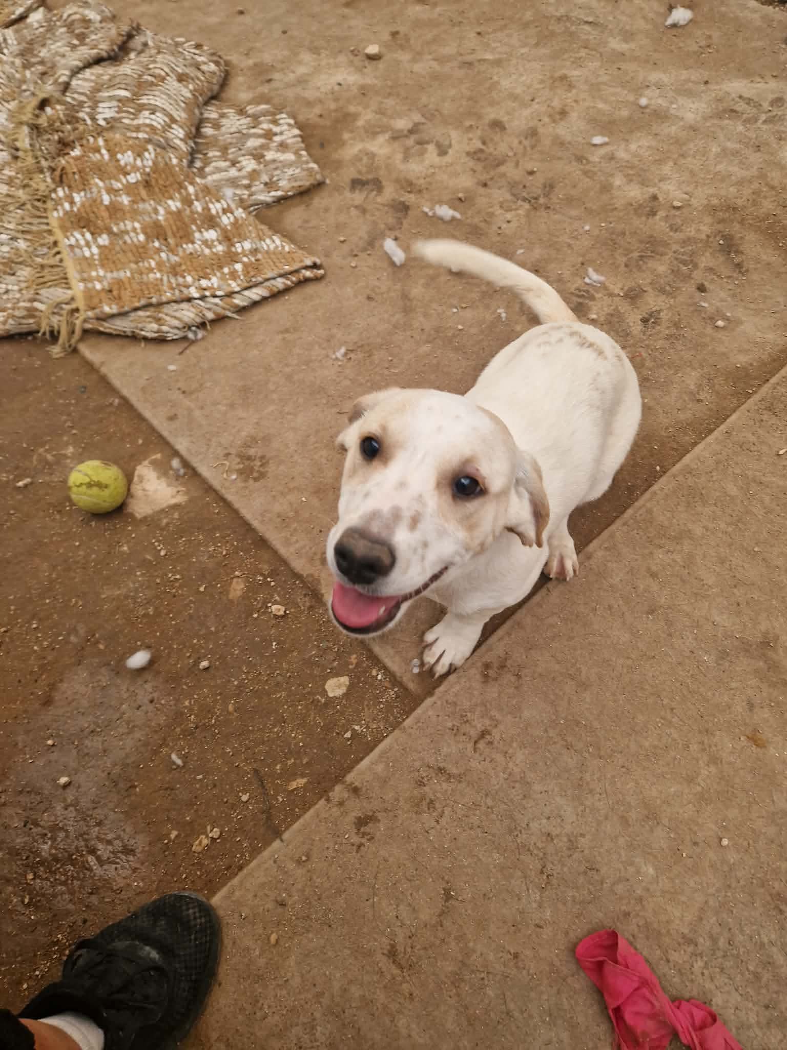 614942913_958049299878872_8594802689600577571_n