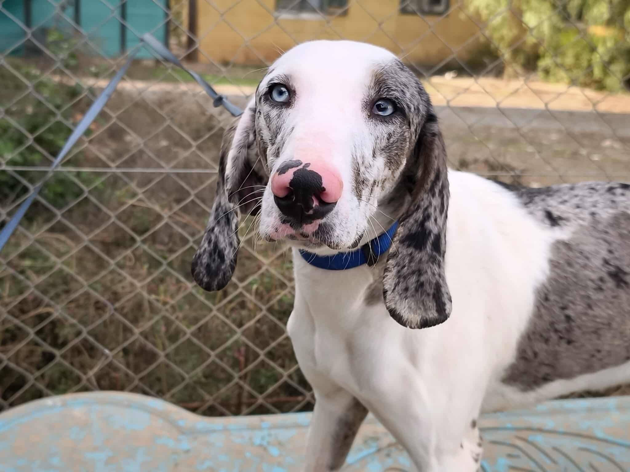 615164892_1312351827600466_8935520200114523078_n