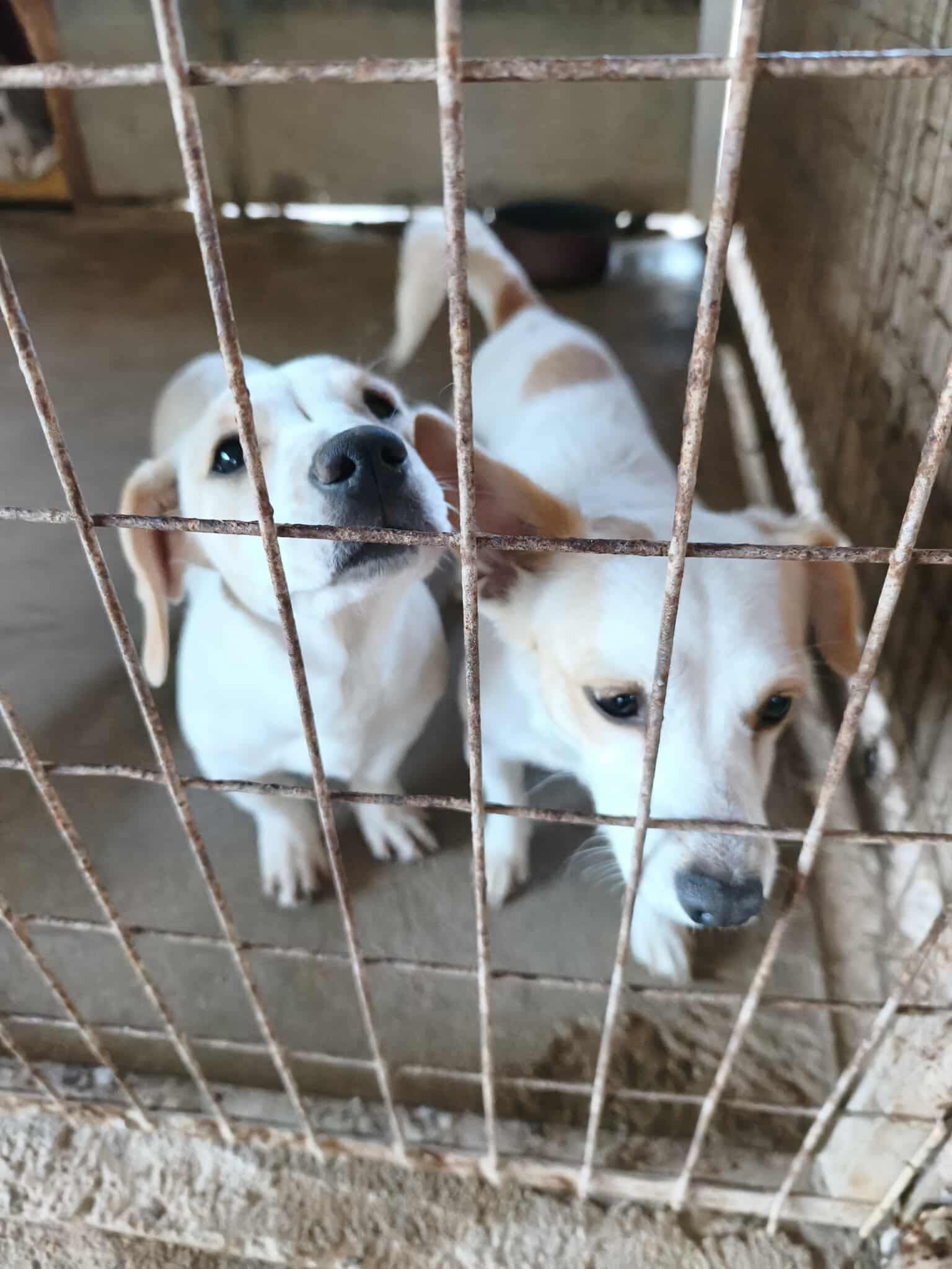 615344480_958504939833308_4133294404923620988_n