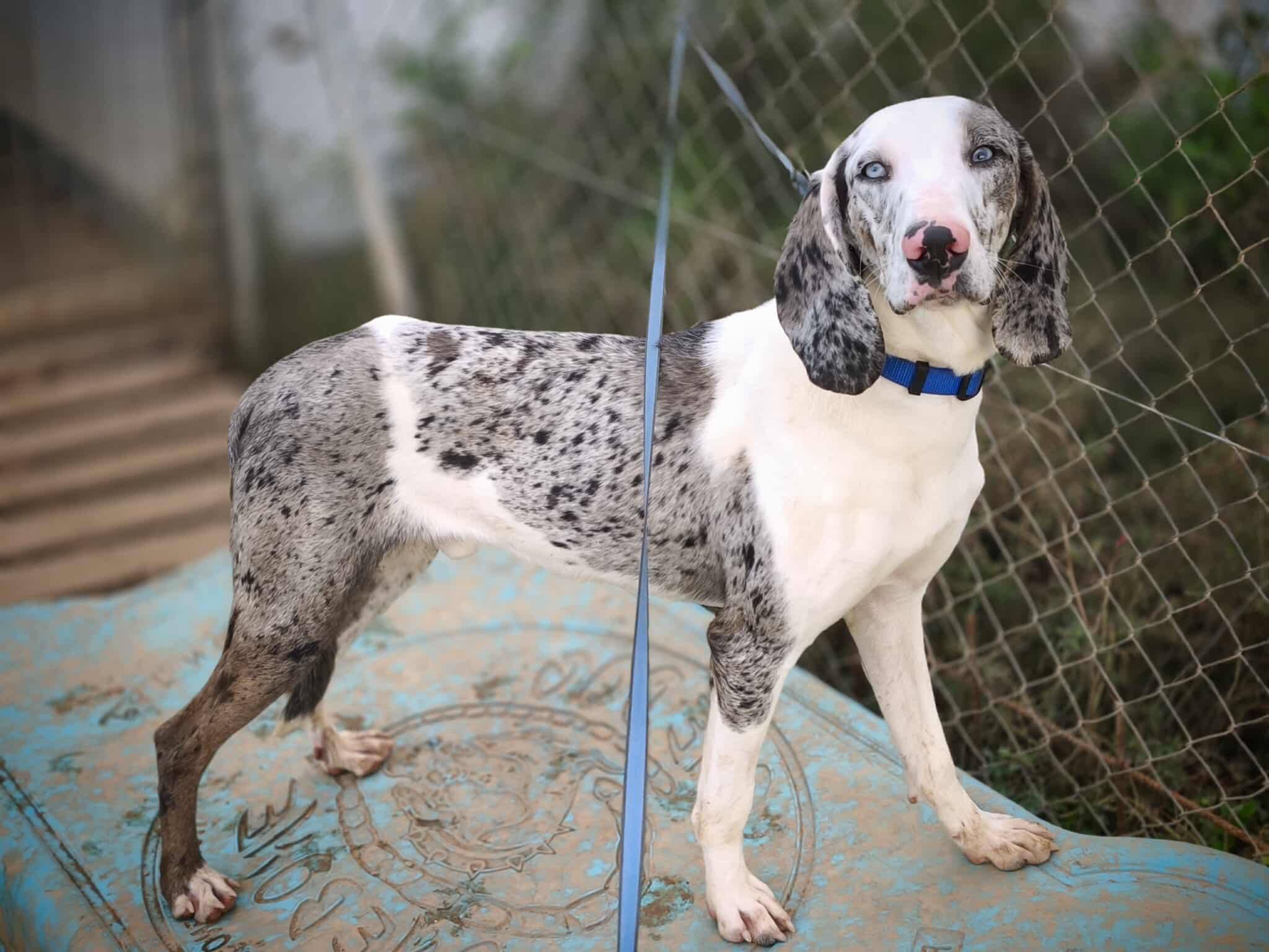 615395564_1312351877600461_560660332360963428_n