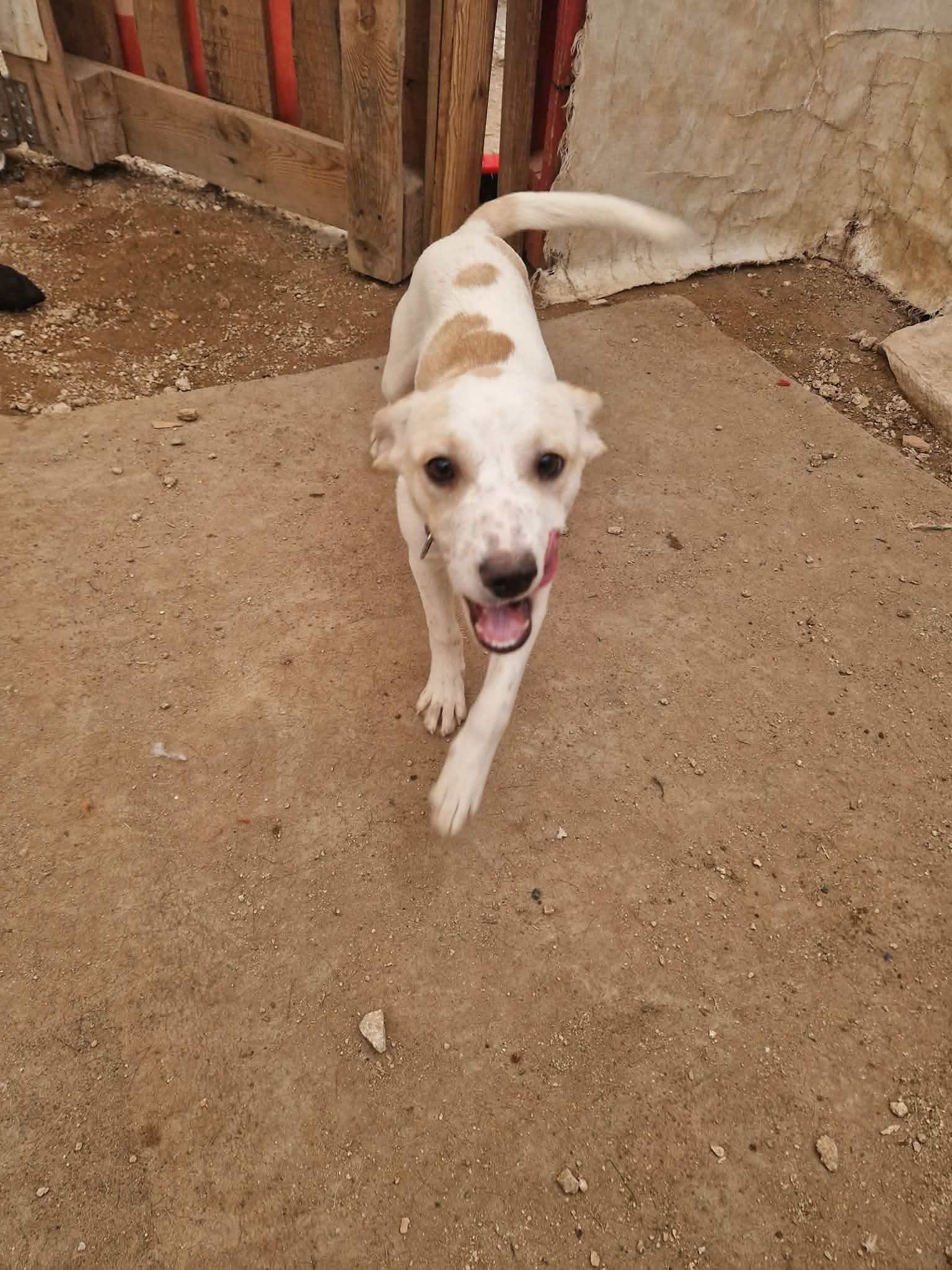 615402993_958504906499978_2506306531049000206_n