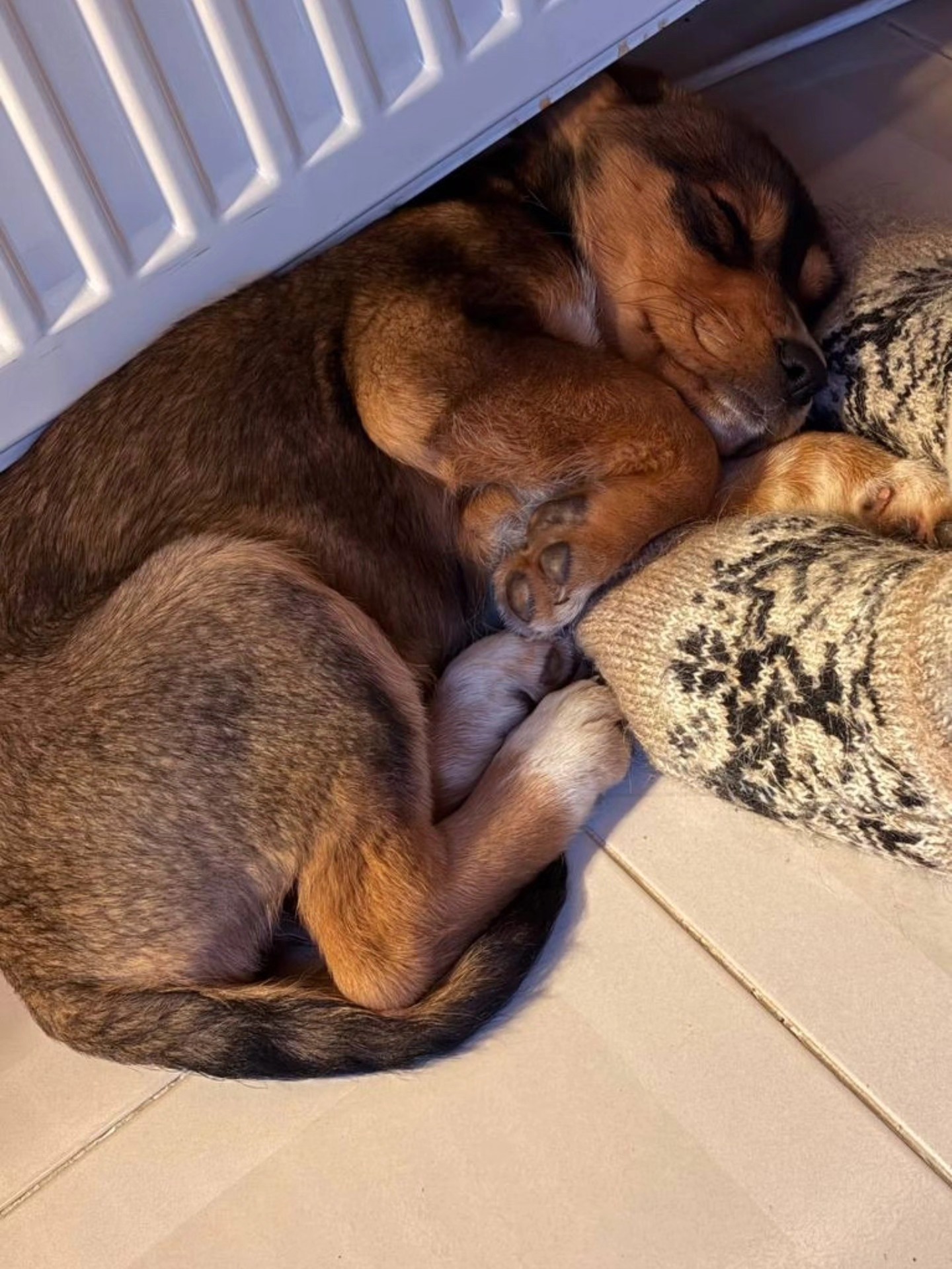 616117546_122167821050771468_2844887599065207785_n