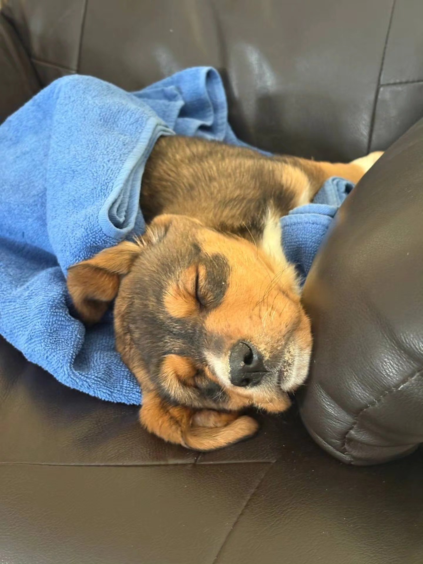 616215351_122167821044771468_2829234815651783612_n