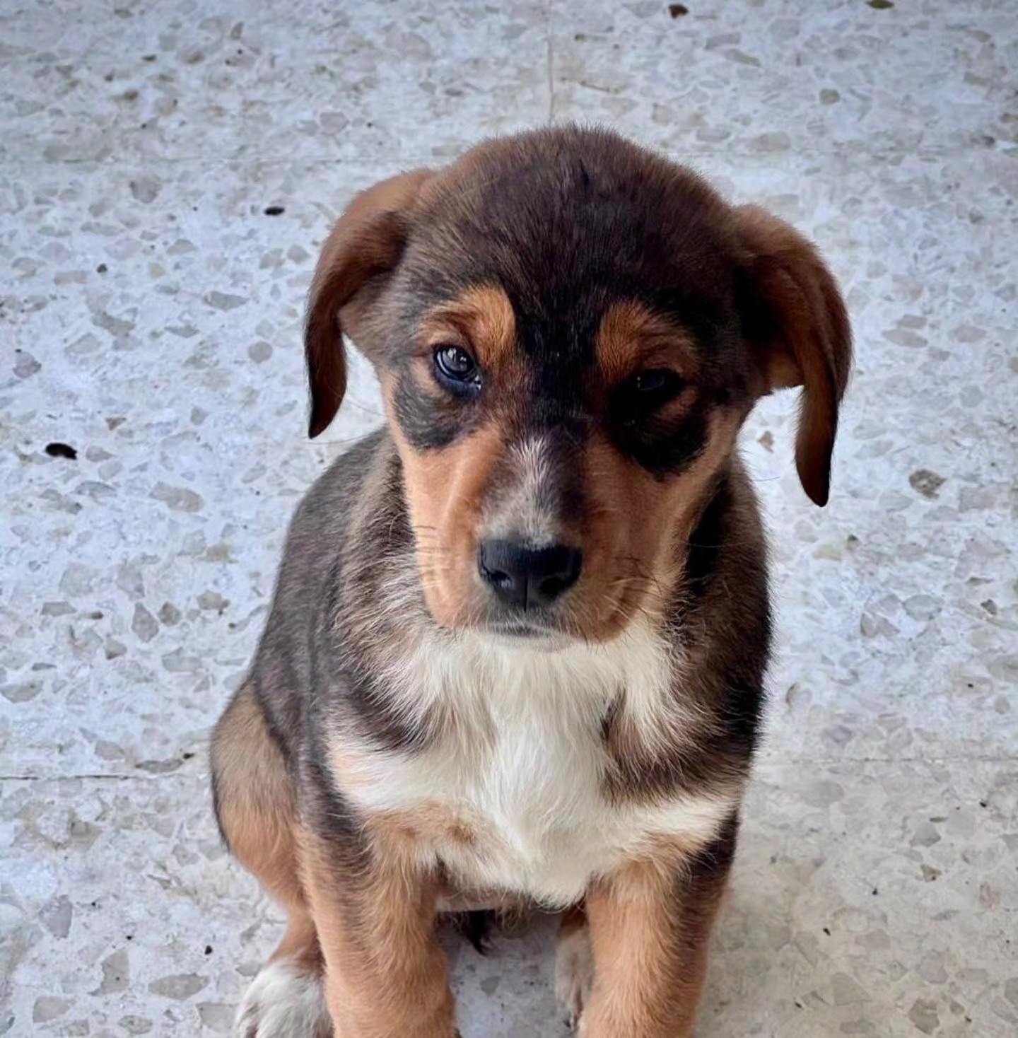 616243356_122167821056771468_1079353385711790855_n