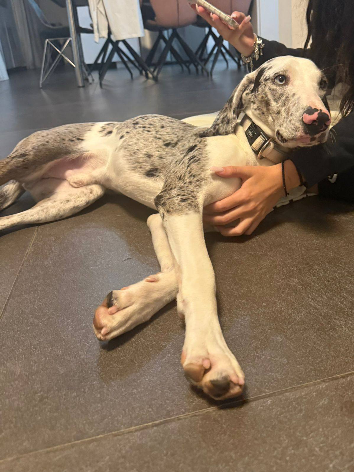 616378907_1312352000933782_8798753881349621404_n