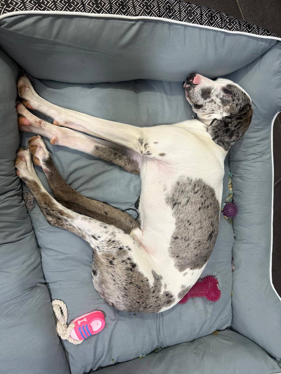 617051321_1312351960933786_2958617349293267909_n