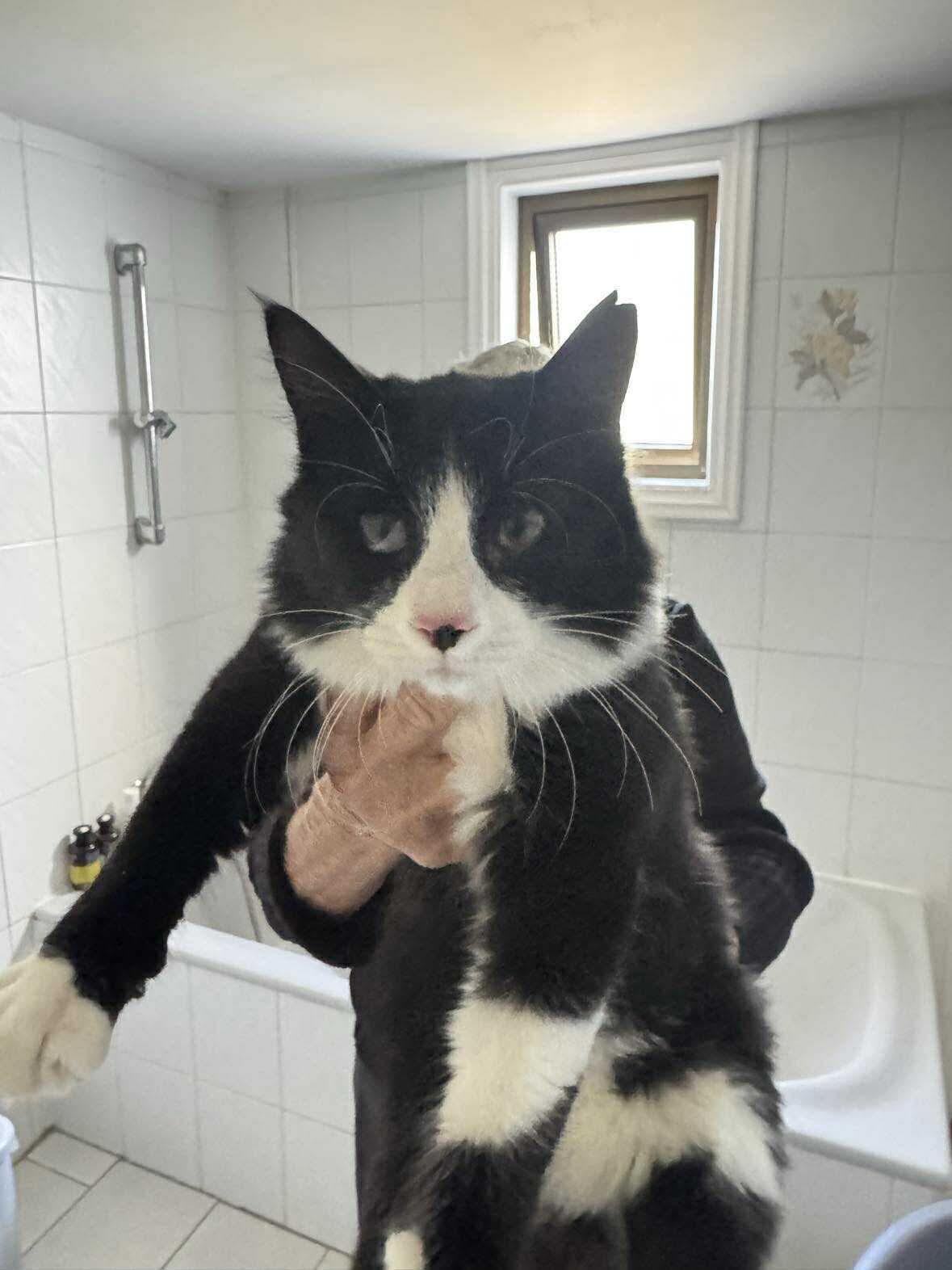 617532621_964974925852976_8582213075964613856_n