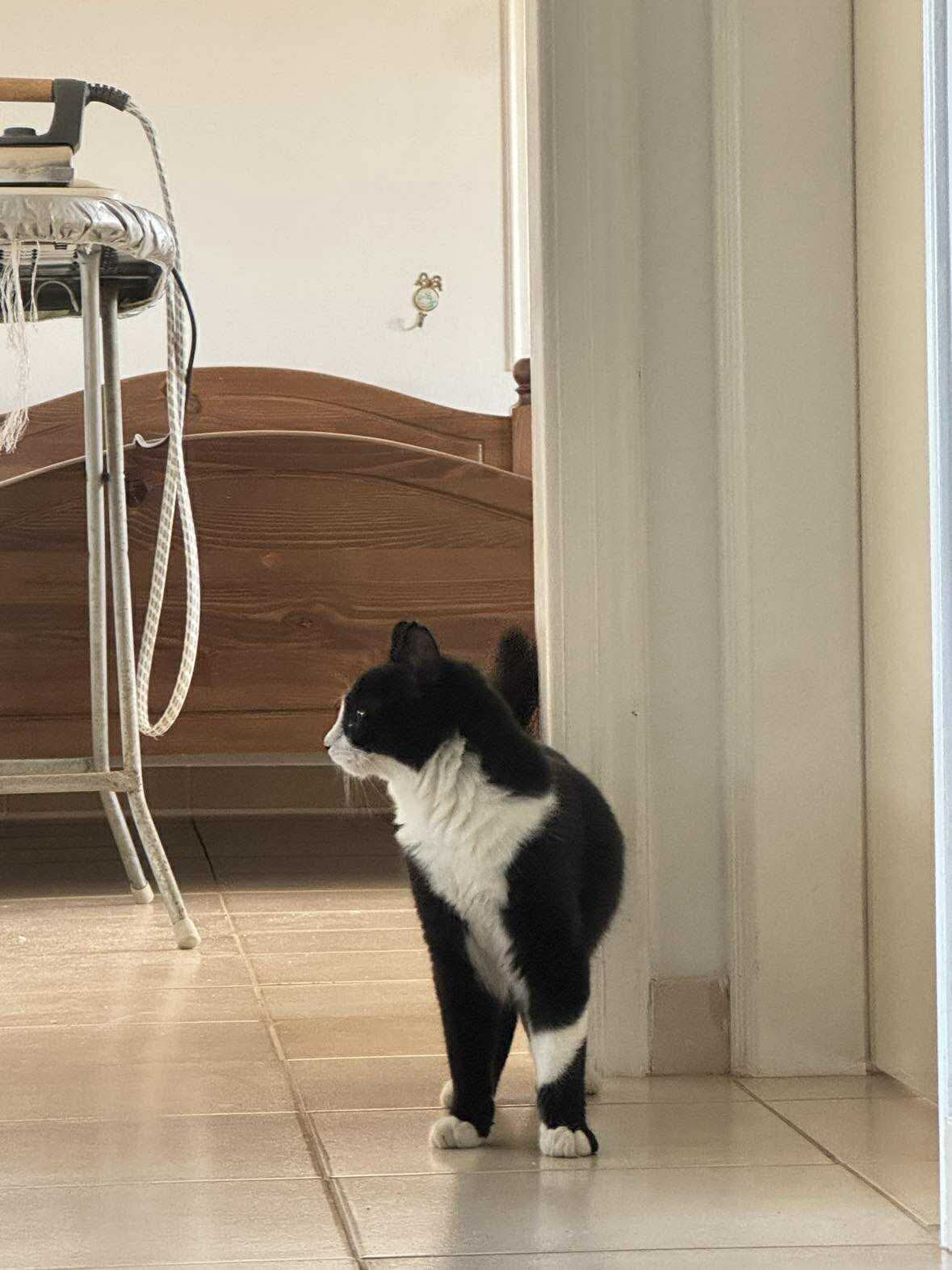 617551537_964974932519642_525169504023860307_n