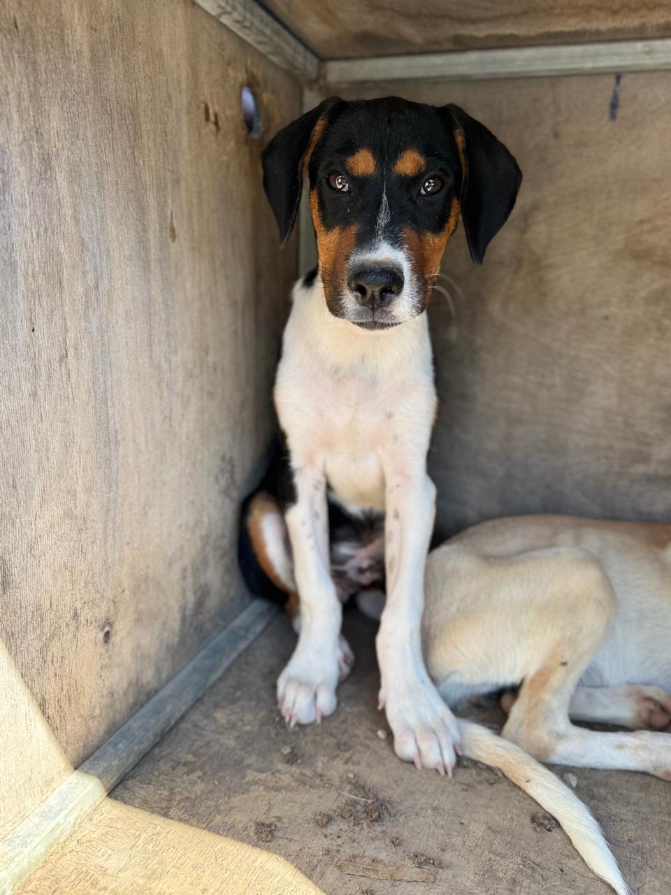 617717302_895417736334738_320836783939245478_n