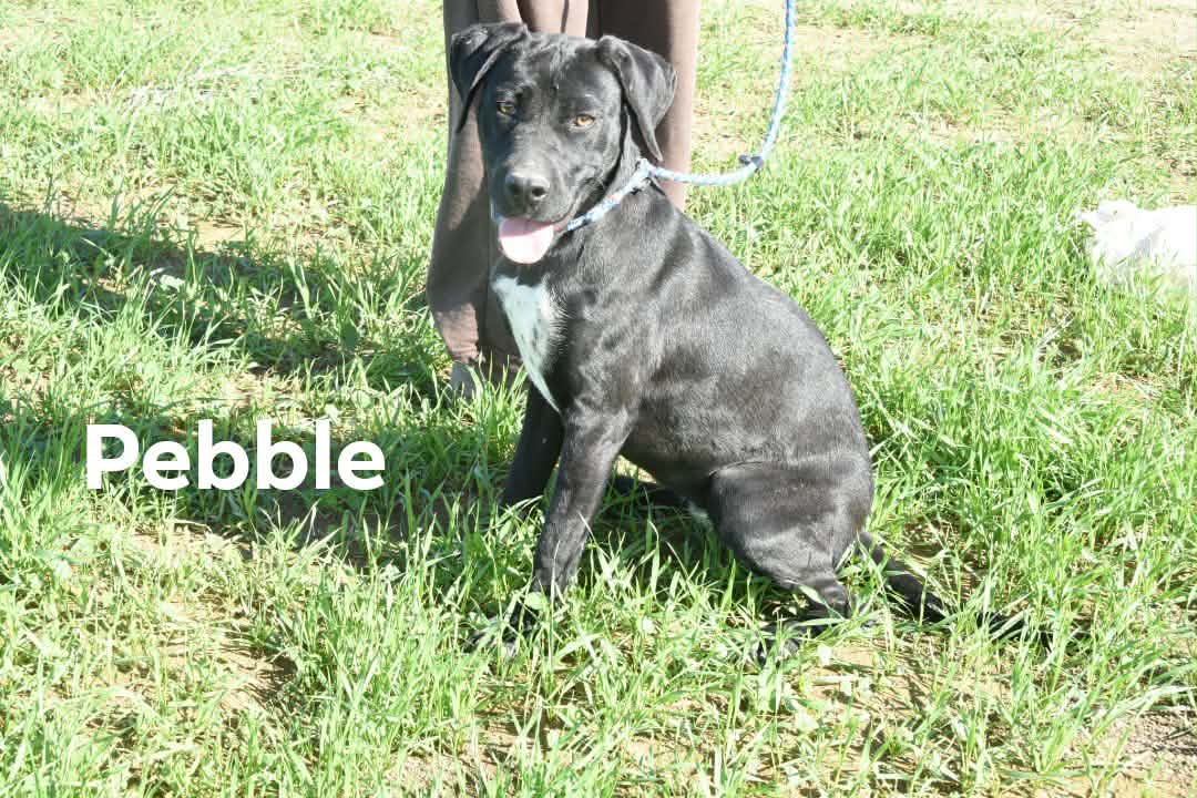 618732764_896963346180177_6222336285808119462_n