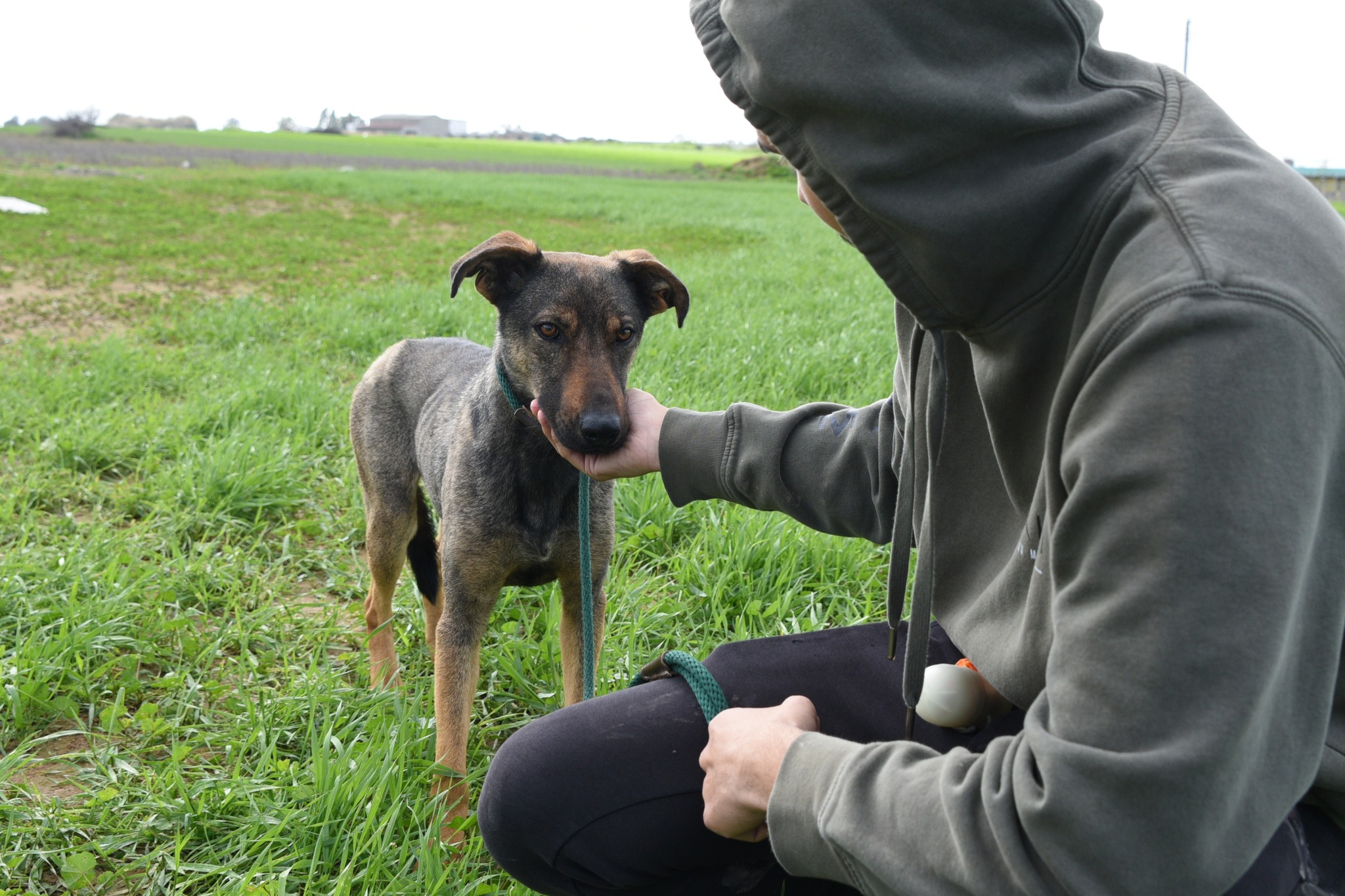 619648676_897900309419814_3935100988938125449_n