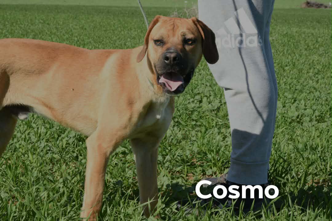 619754064_896963119513533_4488969251515672679_n