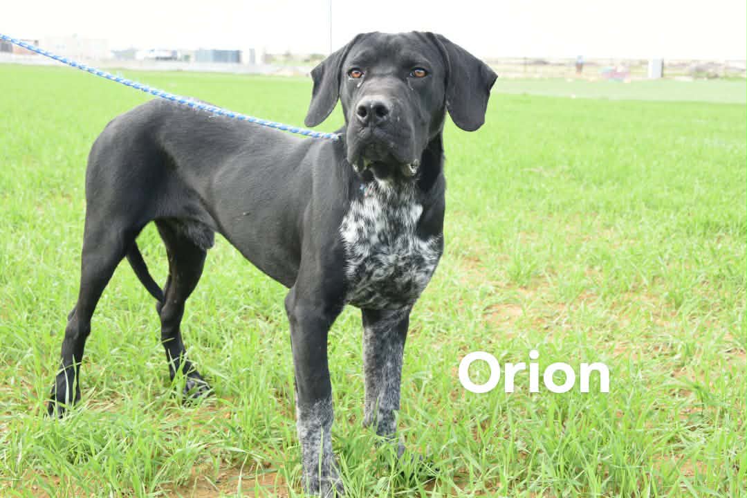 619908350_896963412846837_8142698759893239831_n