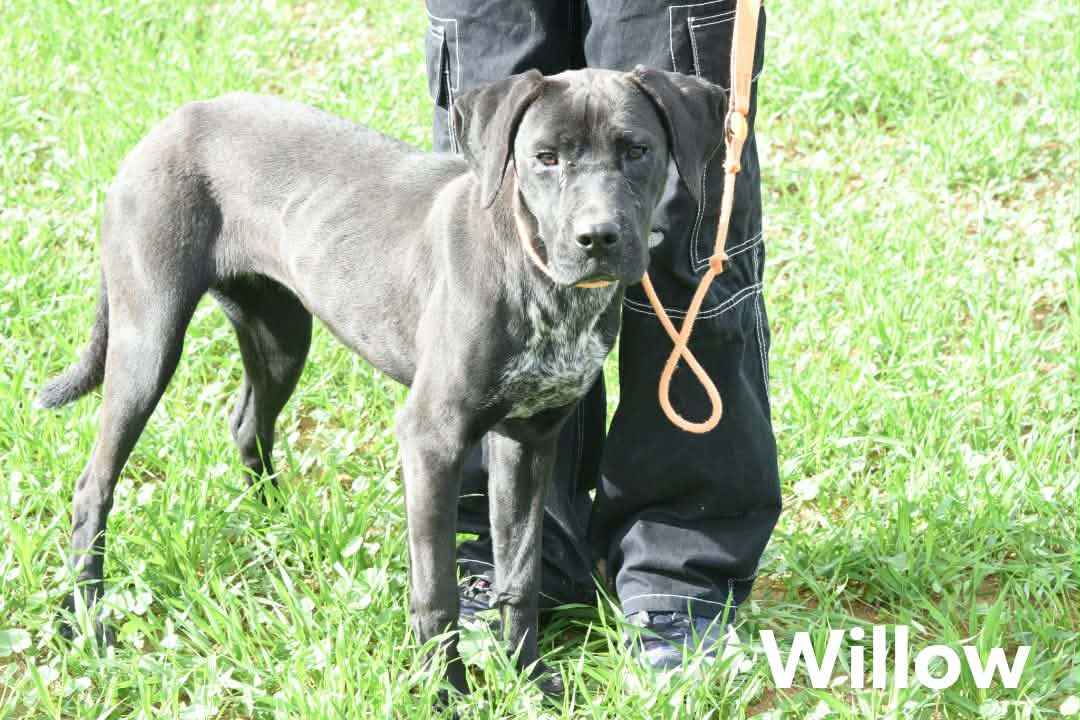 619973286_896963276180184_1449901987903034633_n