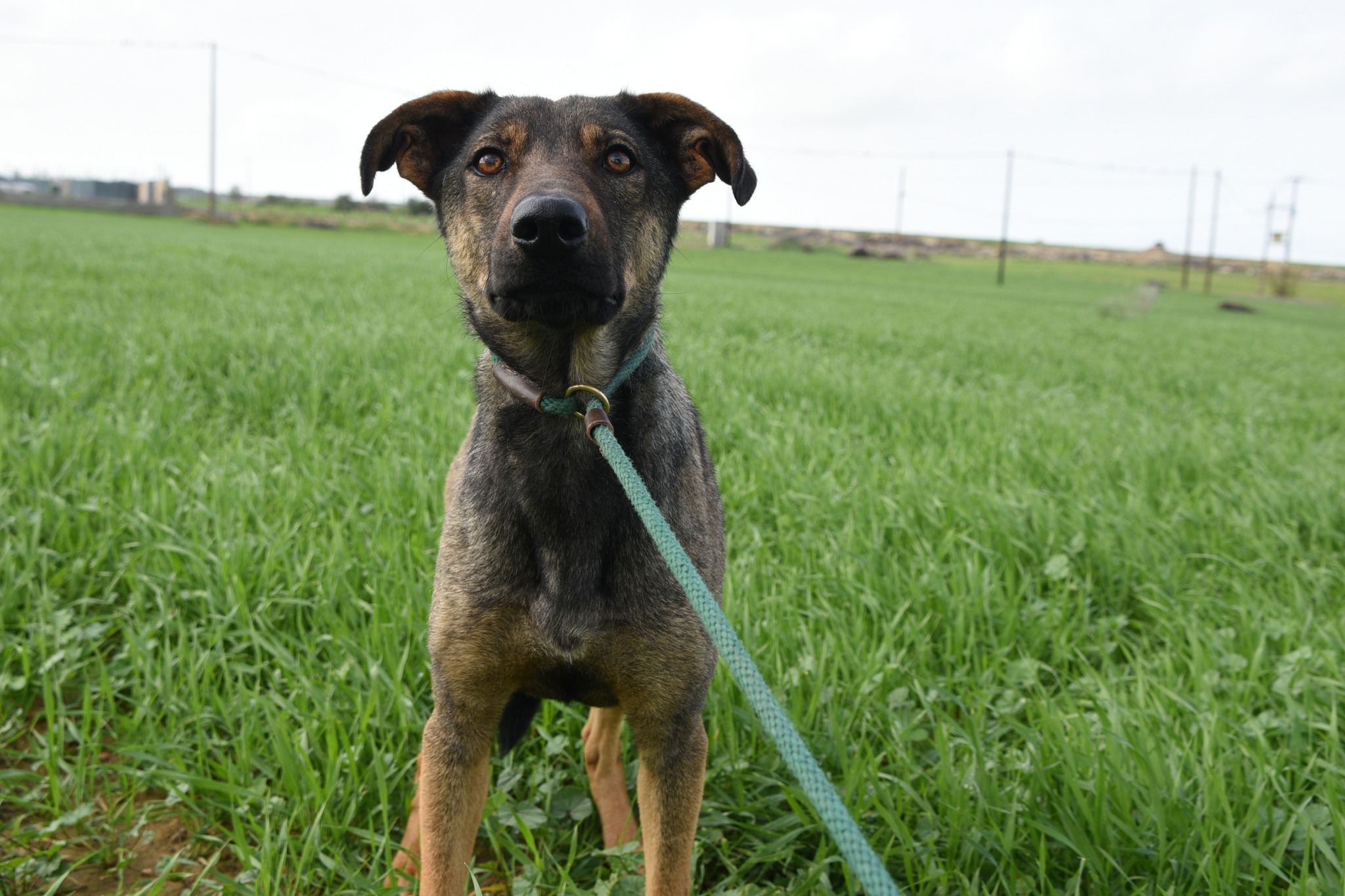 619990097_897900232753155_7194240070011428800_n