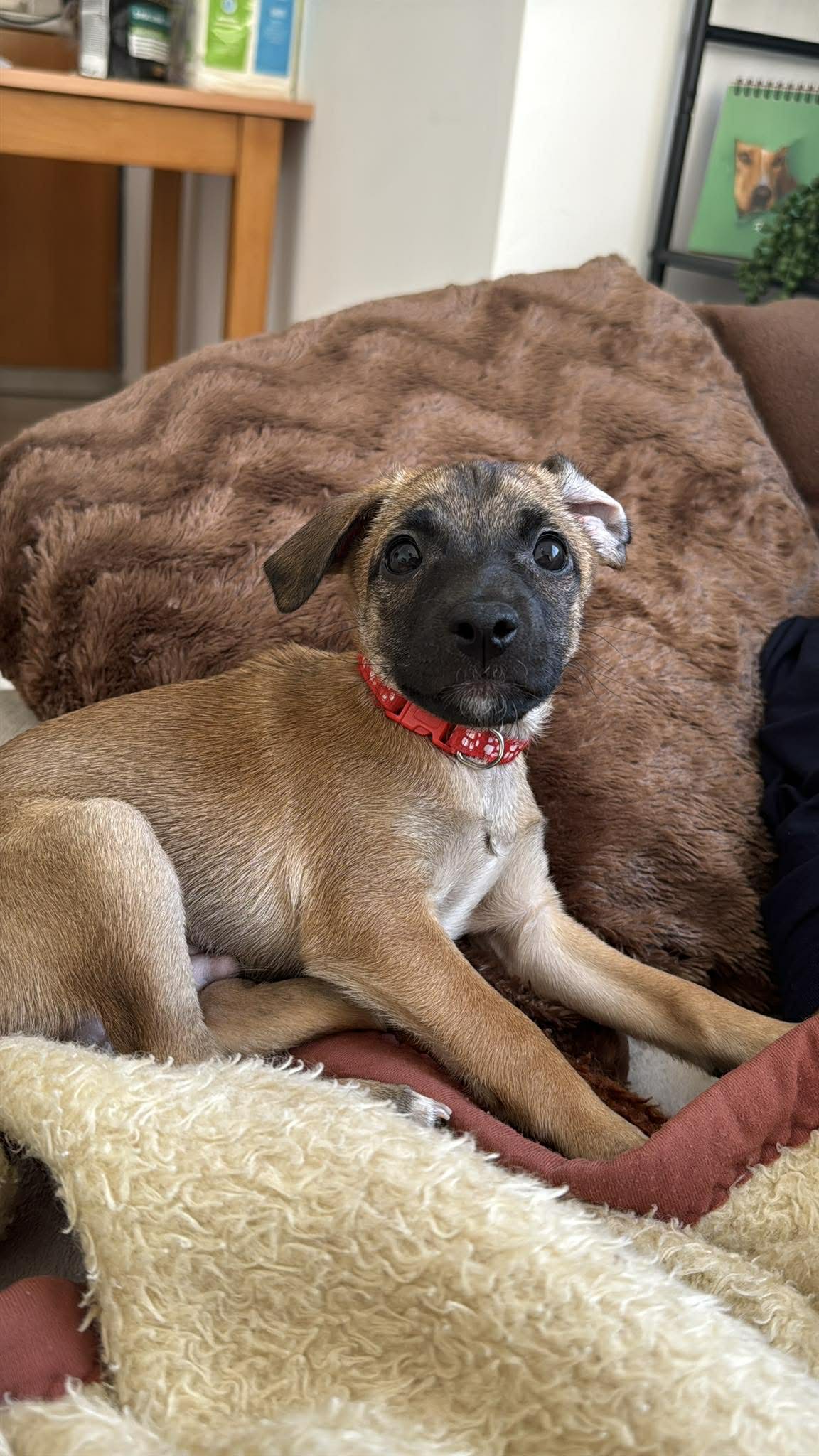 620152584_972008191816316_4201005375691585133_n