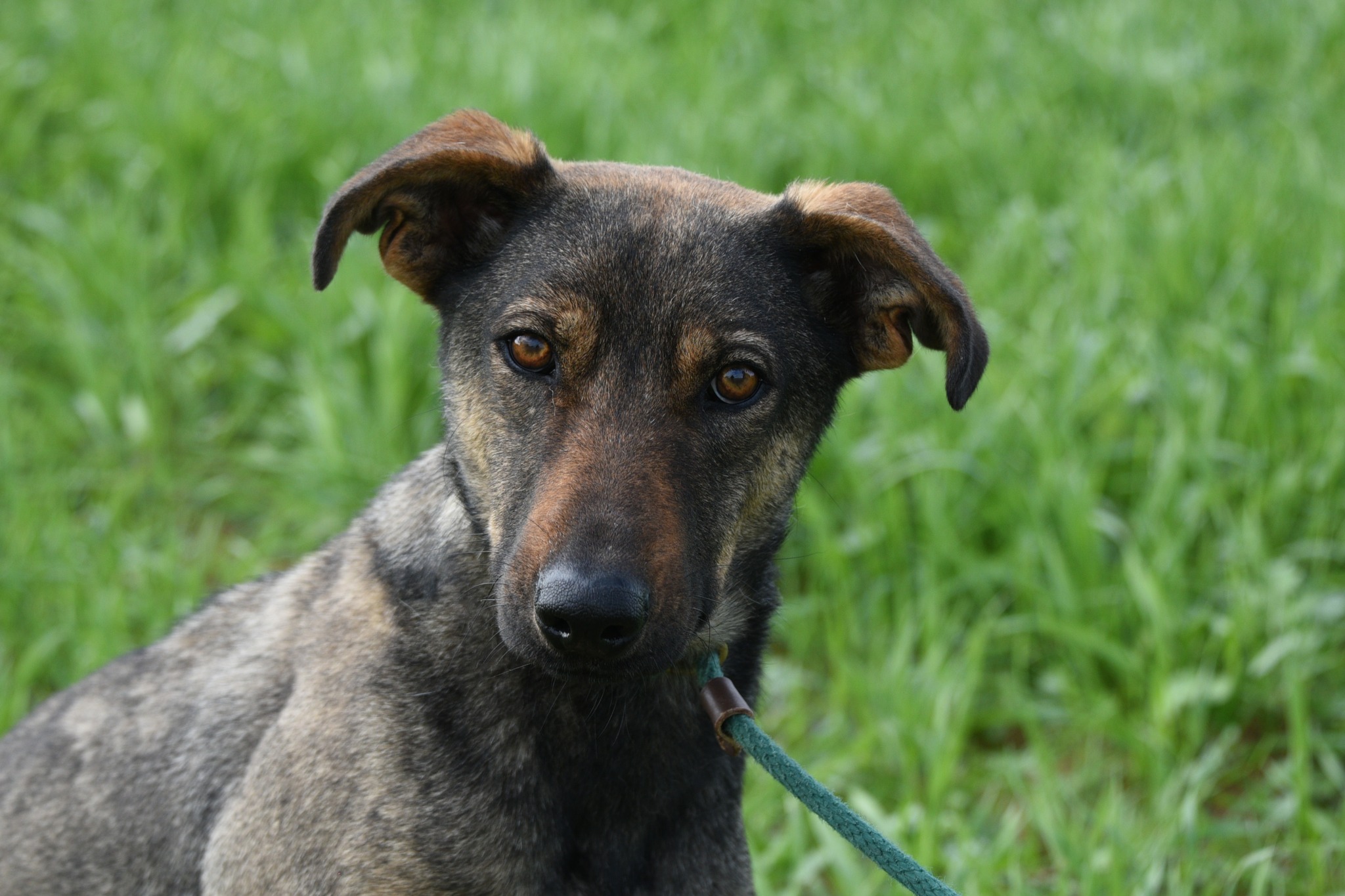 621578302_897899822753196_4071735895463352507_n