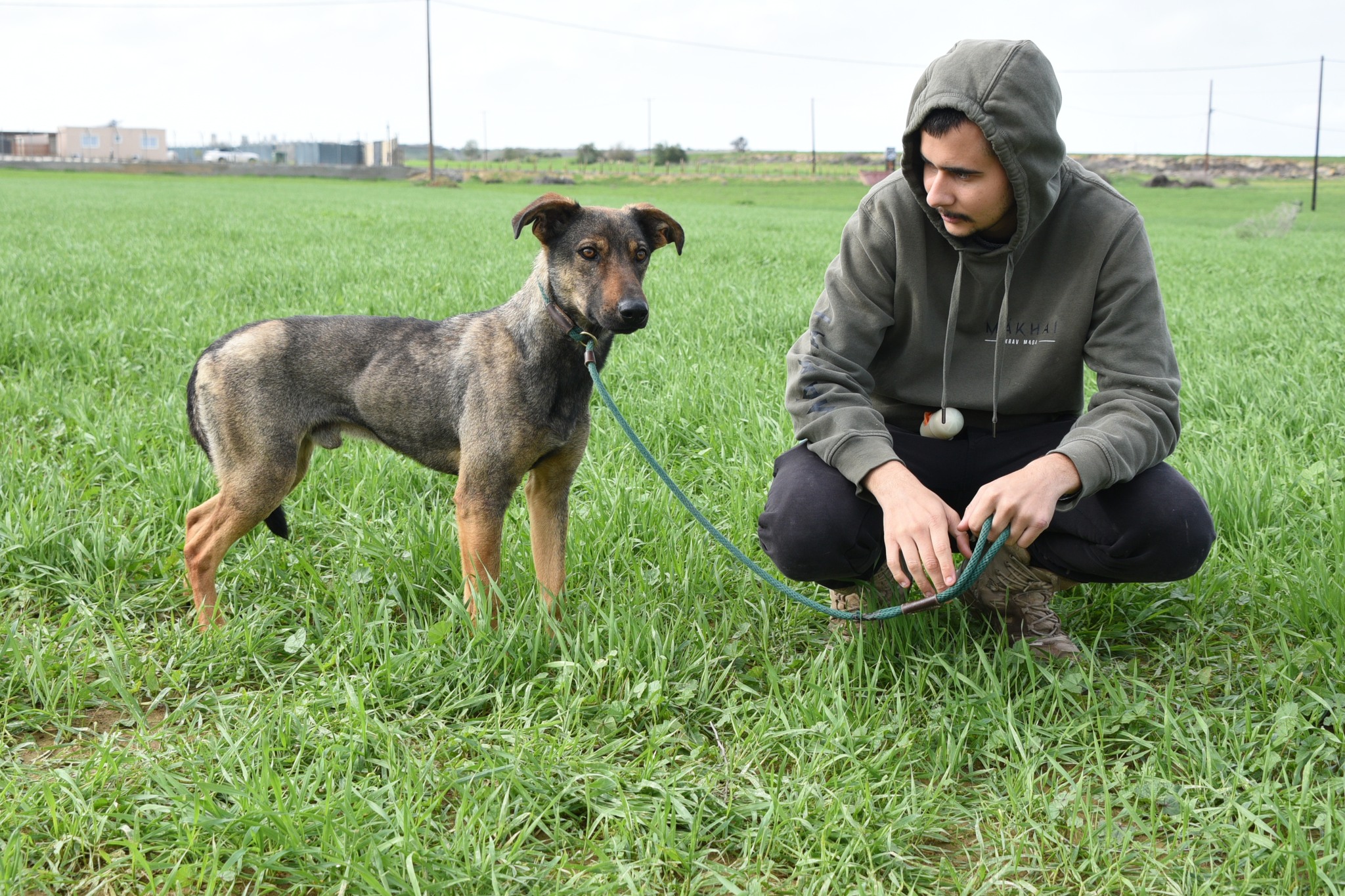 621803323_897900382753140_2132238537035577447_n